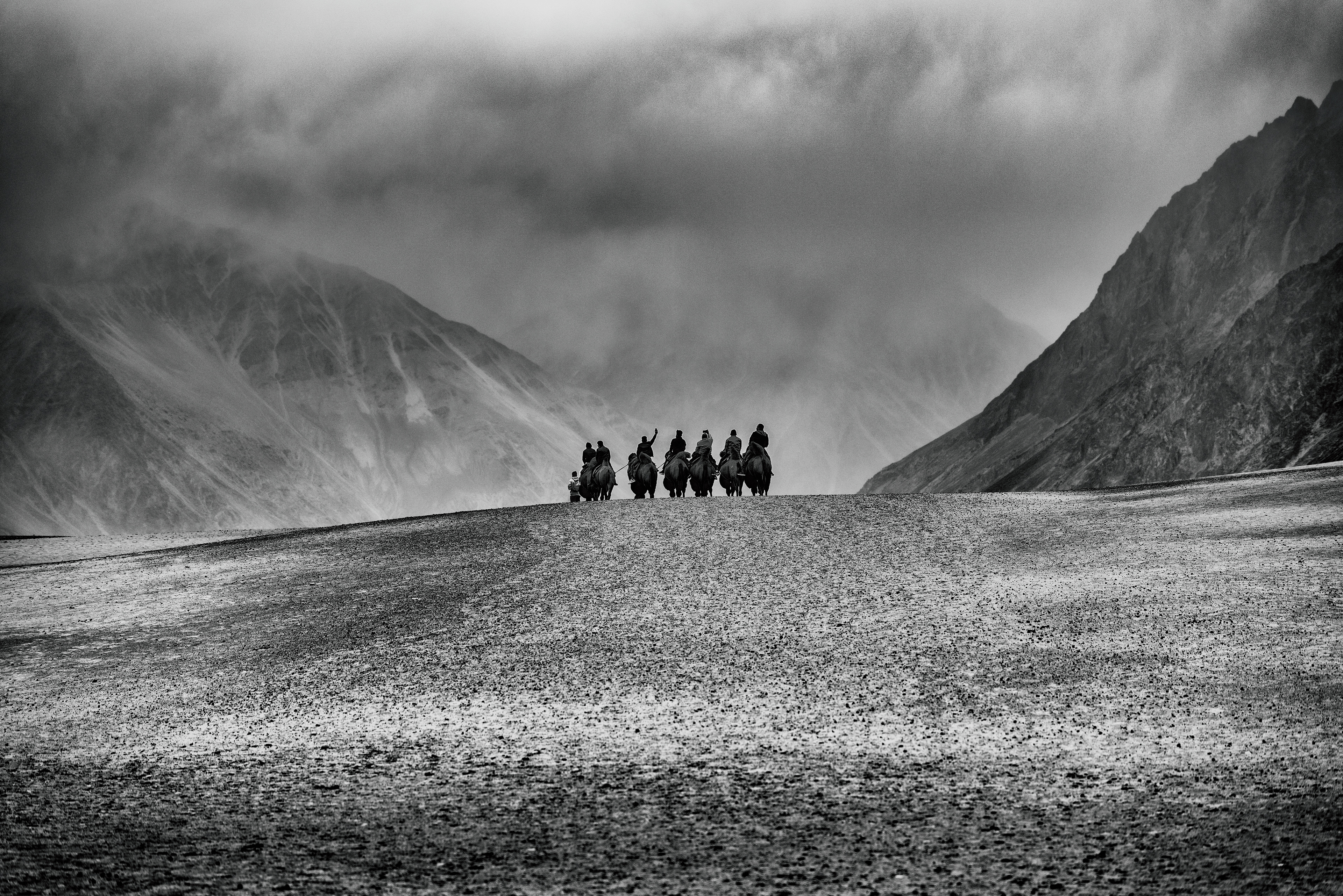 A dramatic monochrome shot of tourist on Bactrian camels traversing the silver sand dunes of Hunder in the Nubra Valley