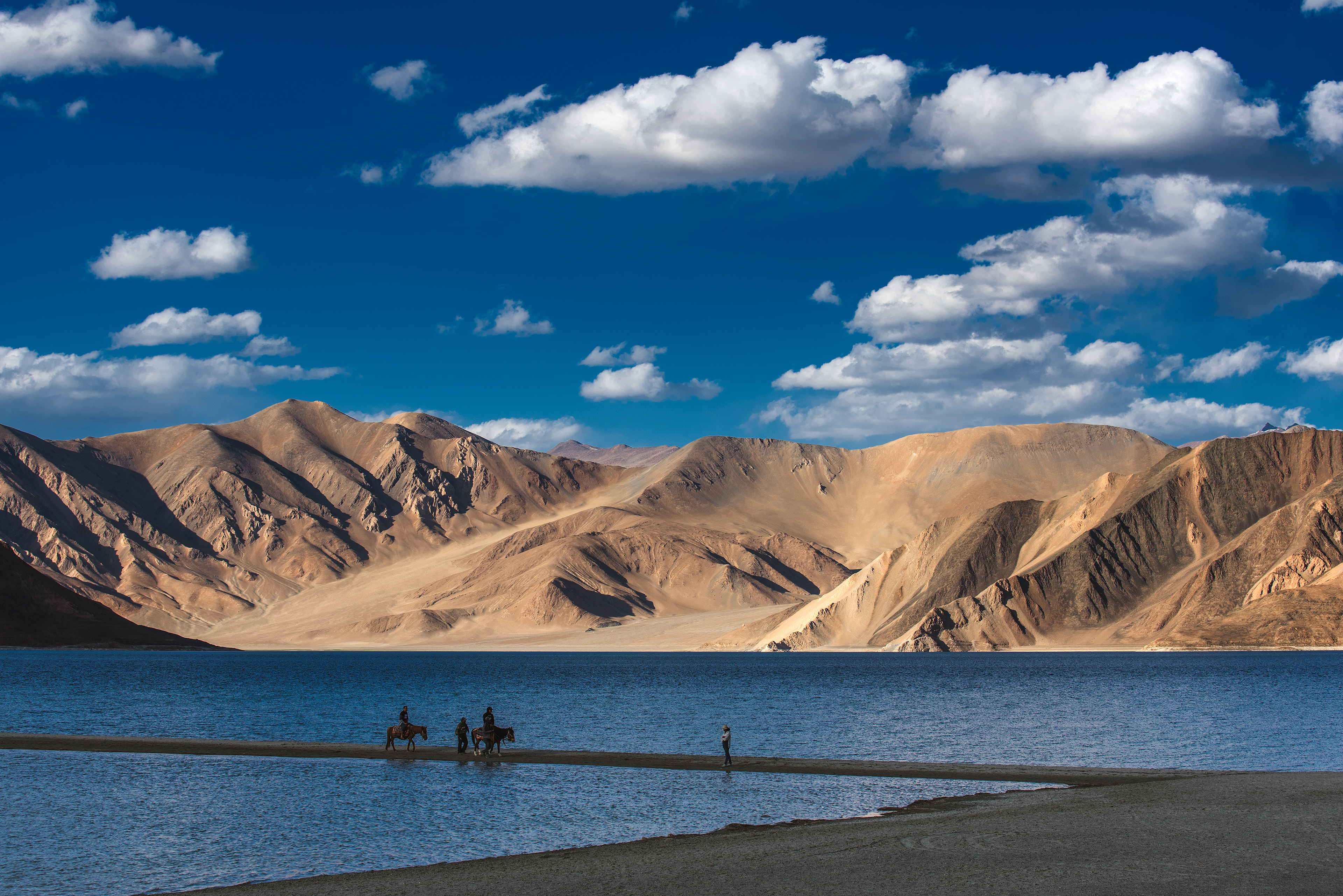 Tourists enjoying the iconic view of Pangong Tso, where the barren brown mountains contrast sharply with the vivid blue of the high-altitude lake