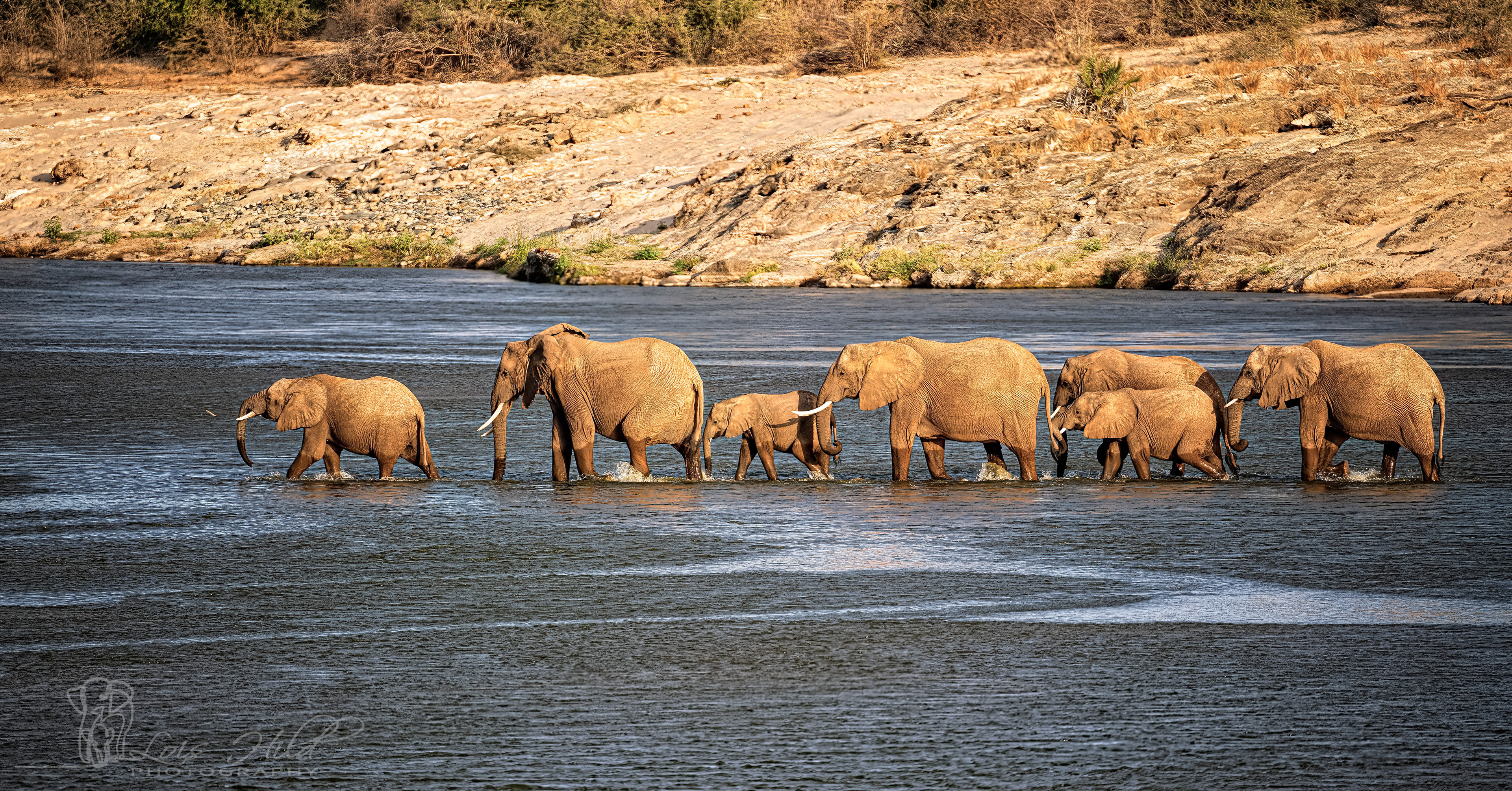 Conservation