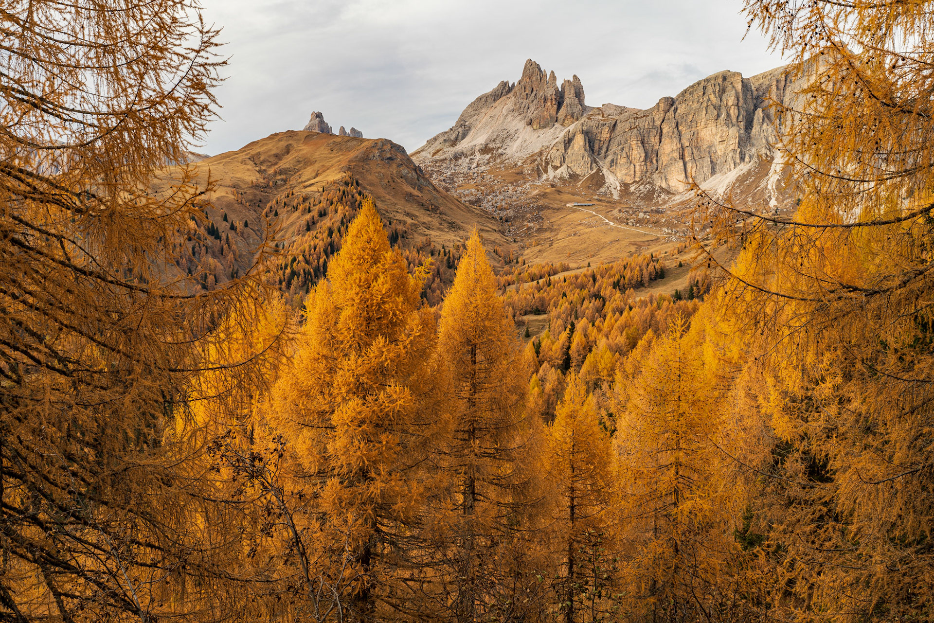 An extremely colourful autumn gave me these views, Dolomites, Italy