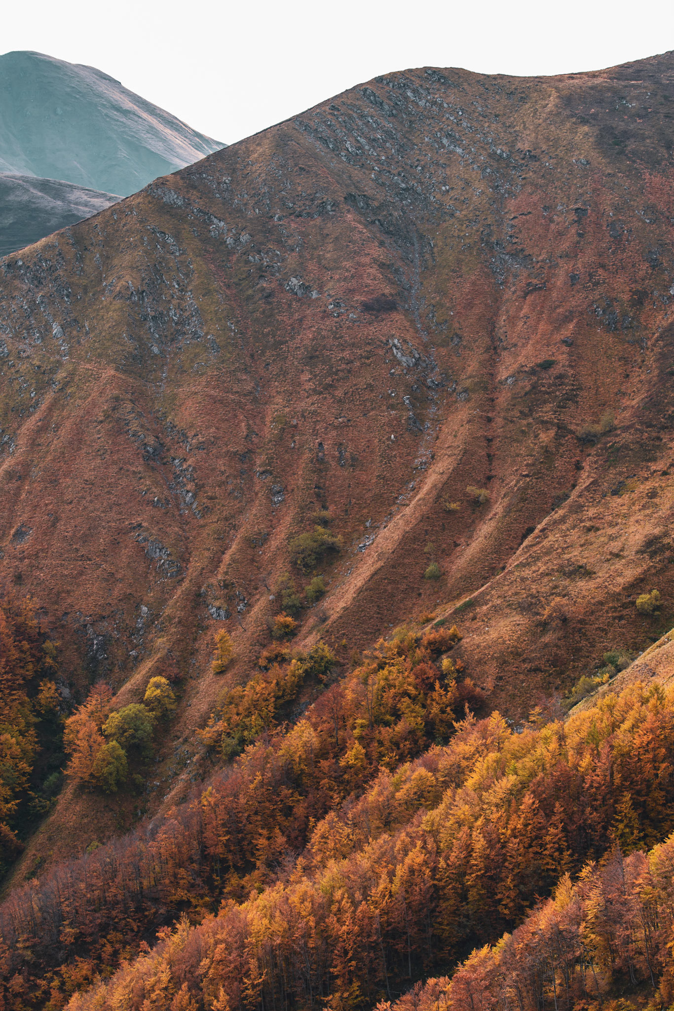 Appennes, Corno alle Scale