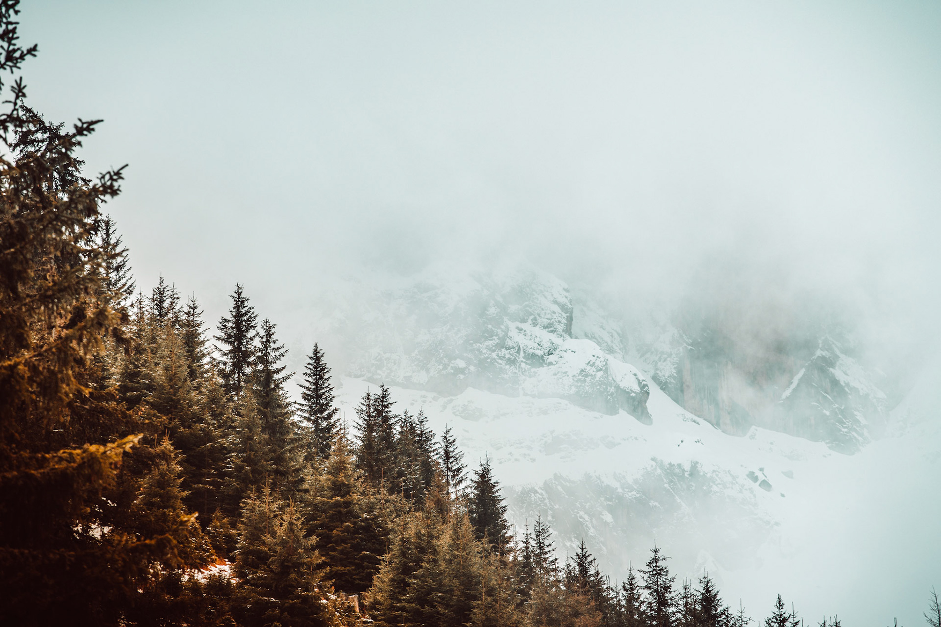 Shy mountains hidden behind banks of fog and low clouds.