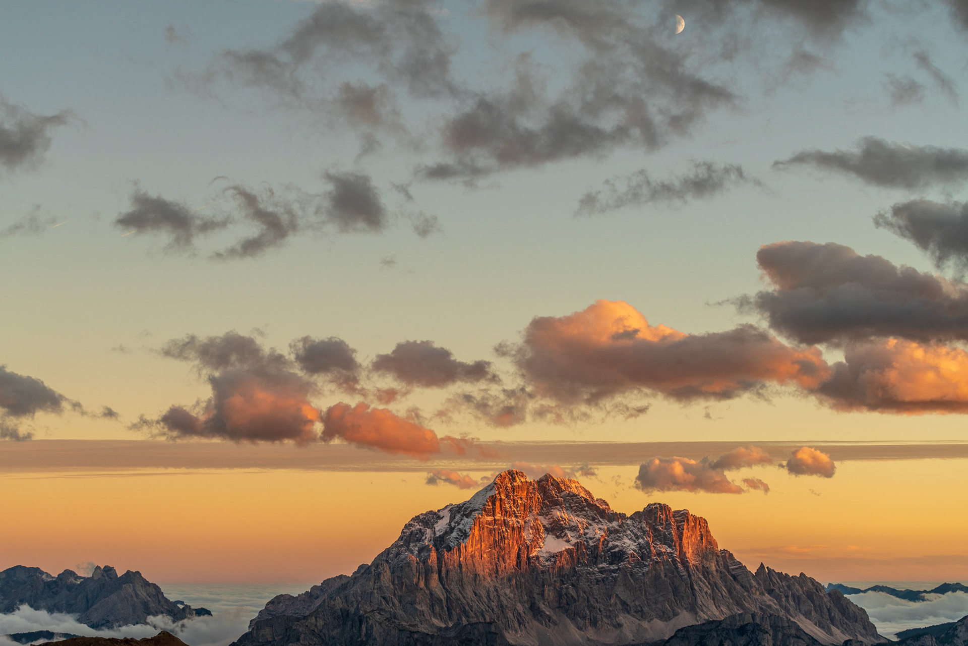 Civetta e la luna in cielo