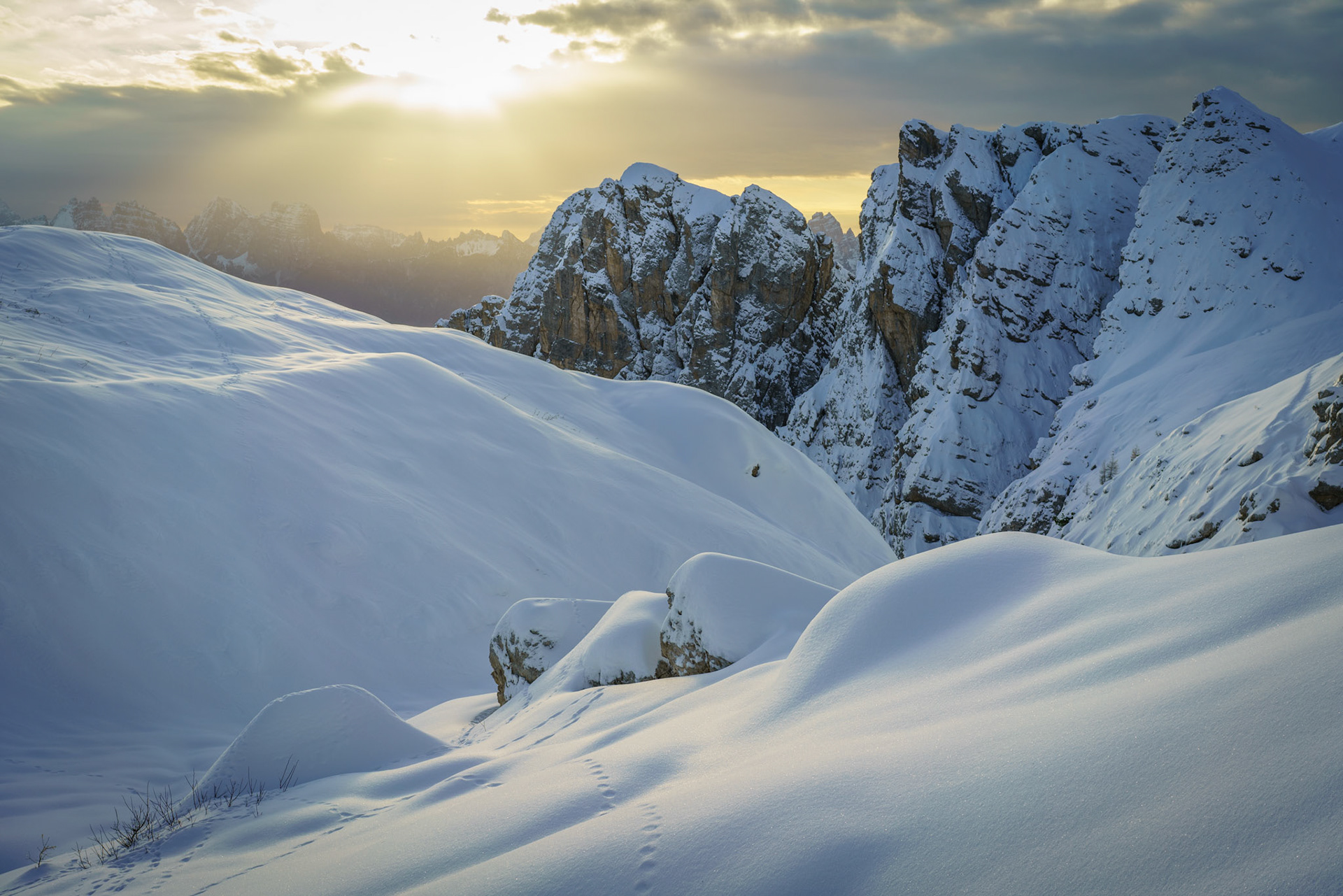 My favourite shot of 2021