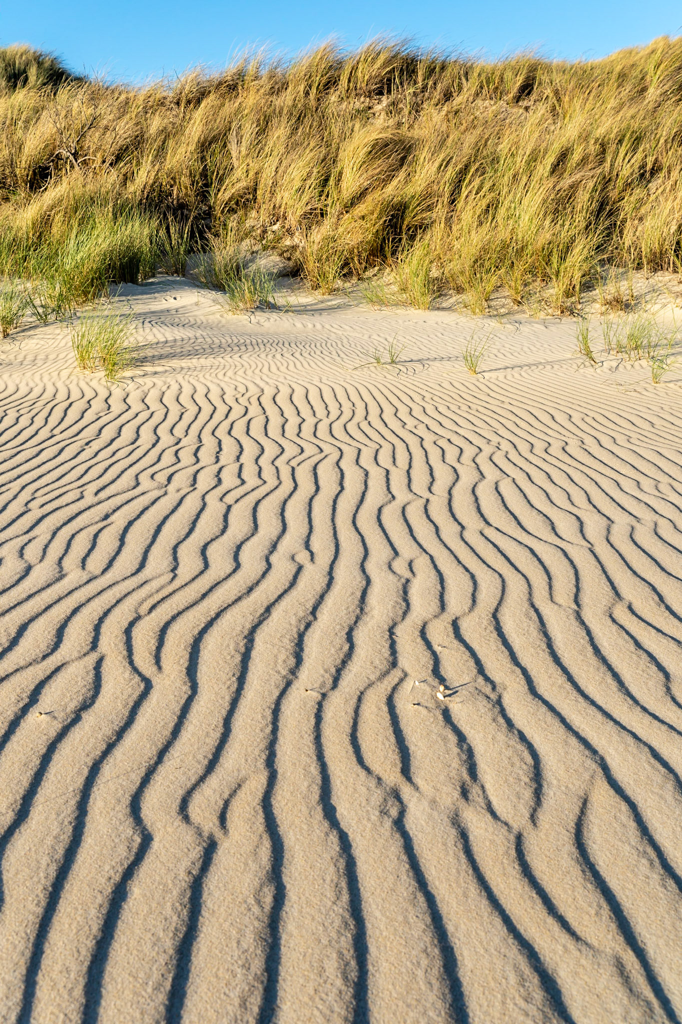 Ripples in the sand at the beach. St Helens Point Conservation Area- Dianas Basin exits to the sea at this point. Popular with campers.