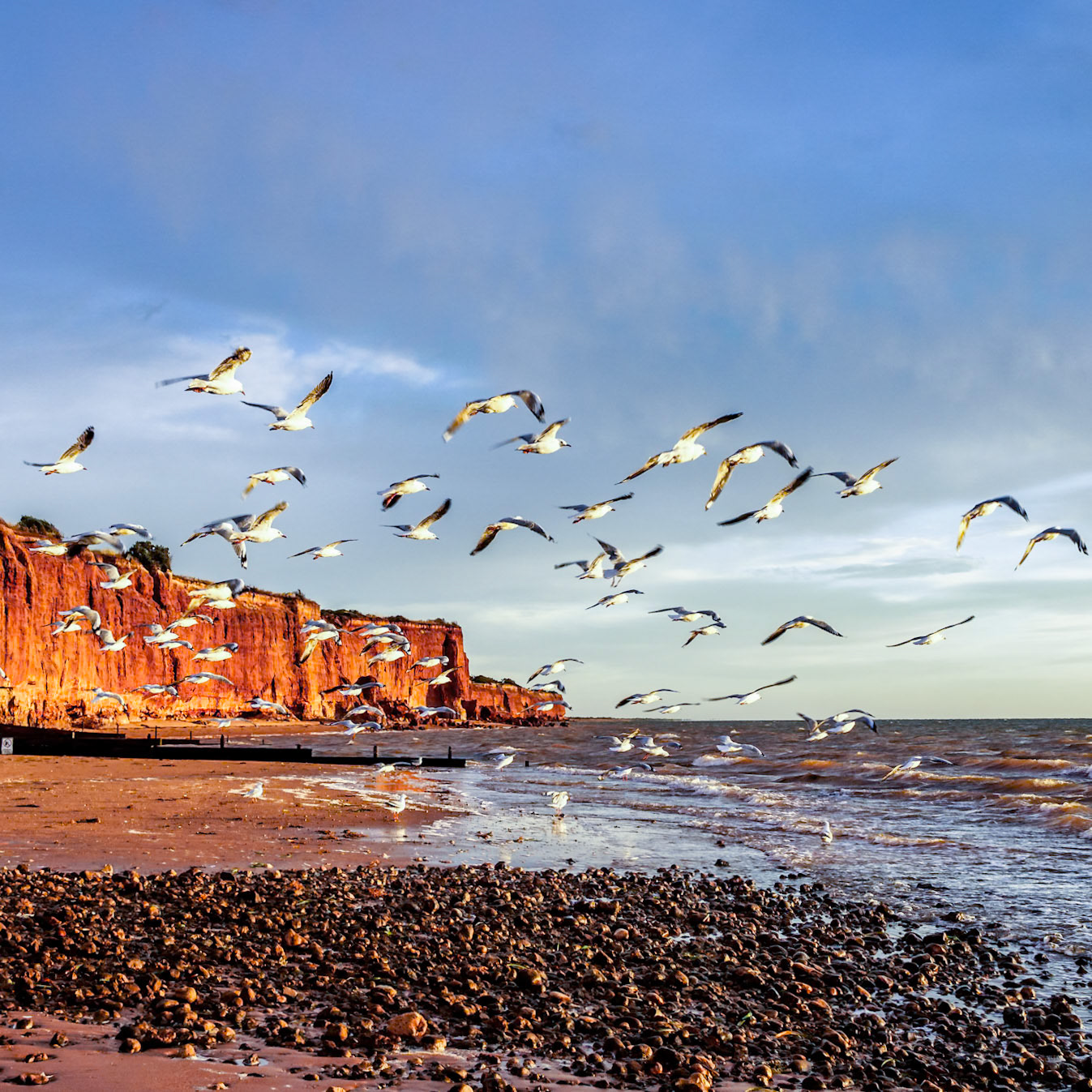 The cliffs around Ardrossan in South Australia glow at sunrise or sunset. Such an unexpected surprise.