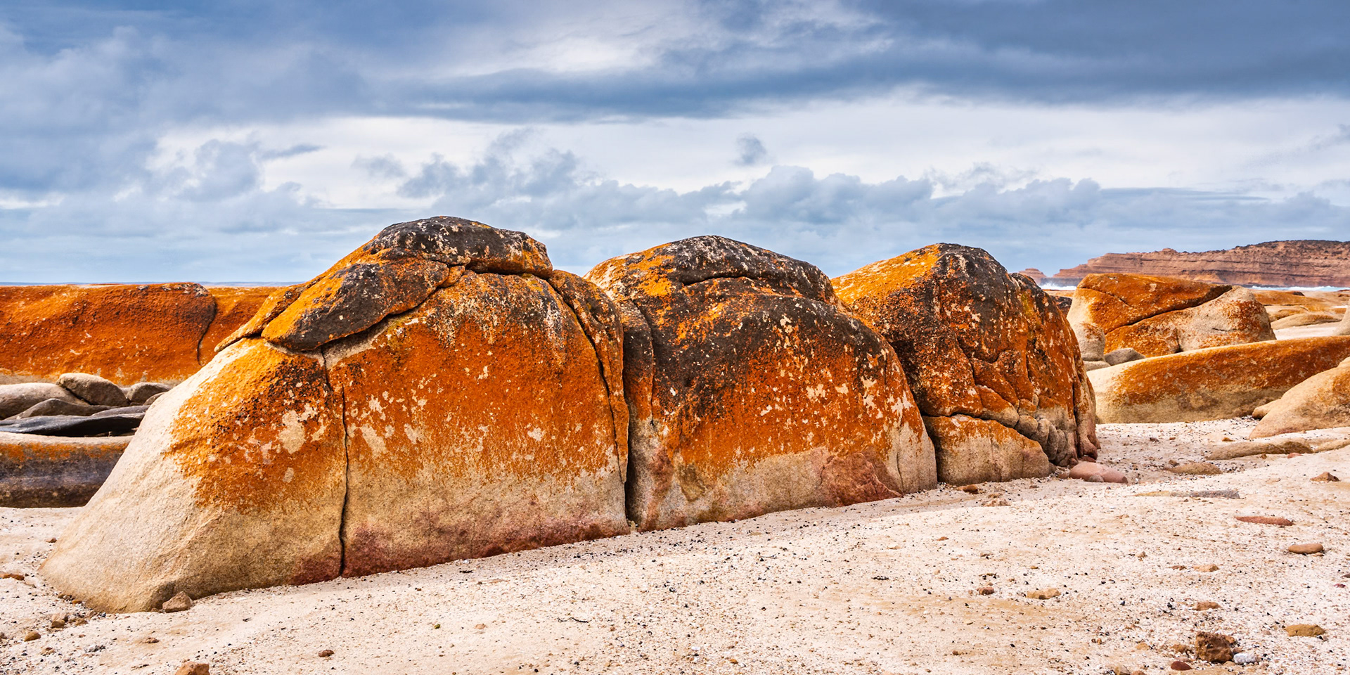 Lichen covered boulders on the shore near Streaky Bay, South Australia.