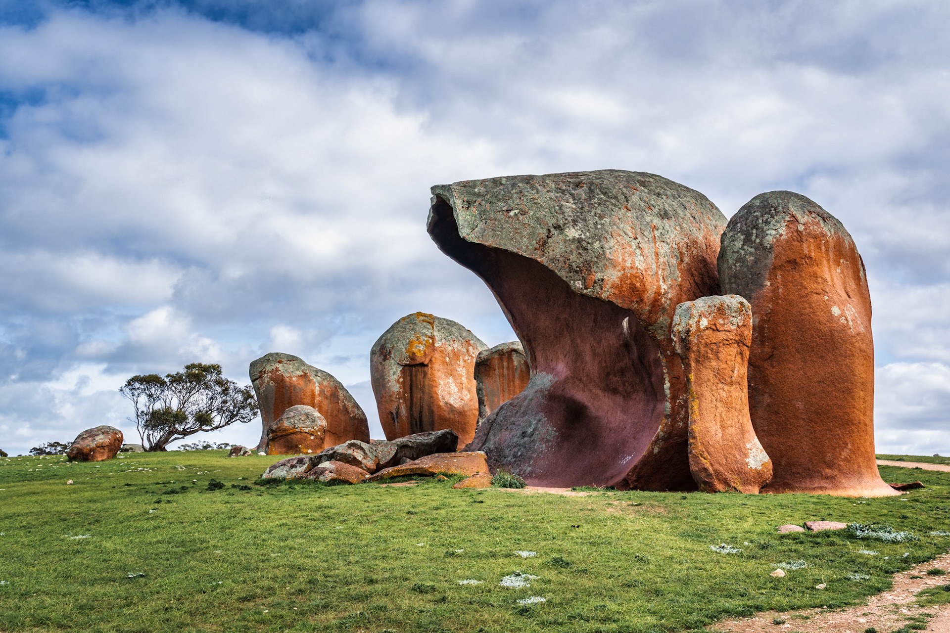 Murphy’s Haystacks are an outcrop of pink granite boulders scattered accross the hillside.