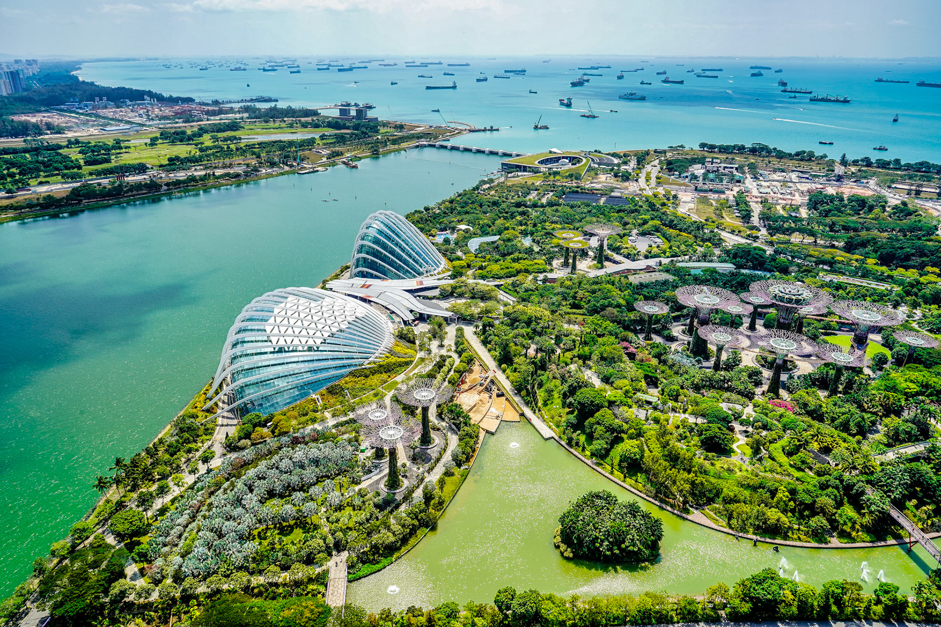 The Gardens by the Bay is a nature park in the heart of Singapore. The land on which it stands has been reclaimed from the sea. The cloud forest is particularly spectacular at night.