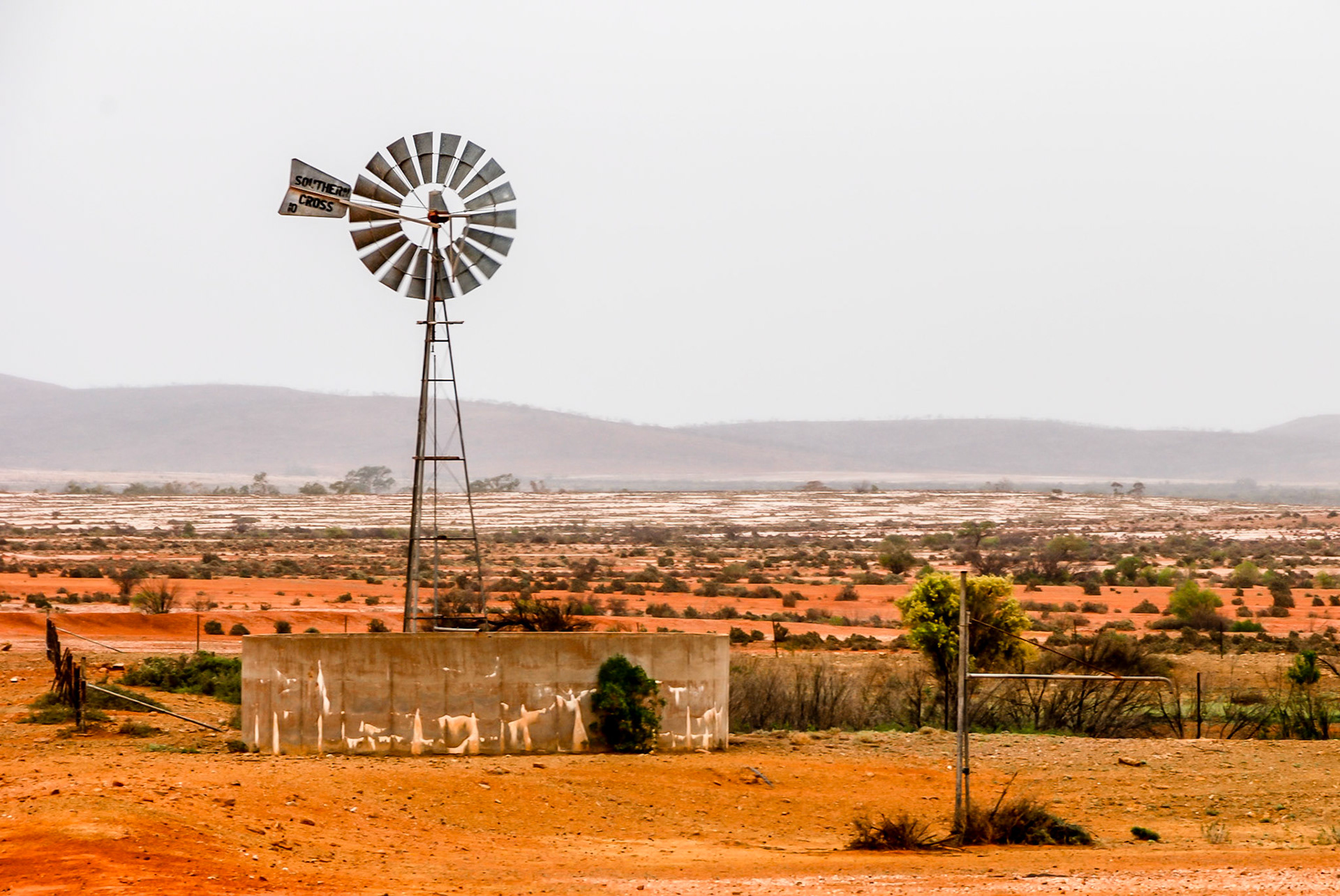 The archetypal Australian Southern Cross windmill.