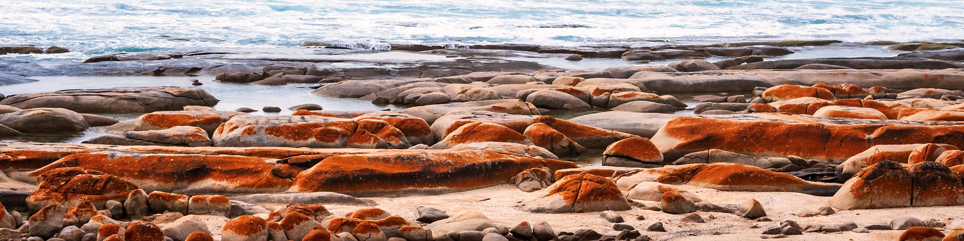 Lichen covered boulders on the shore near Steaky Bay, South Australia.