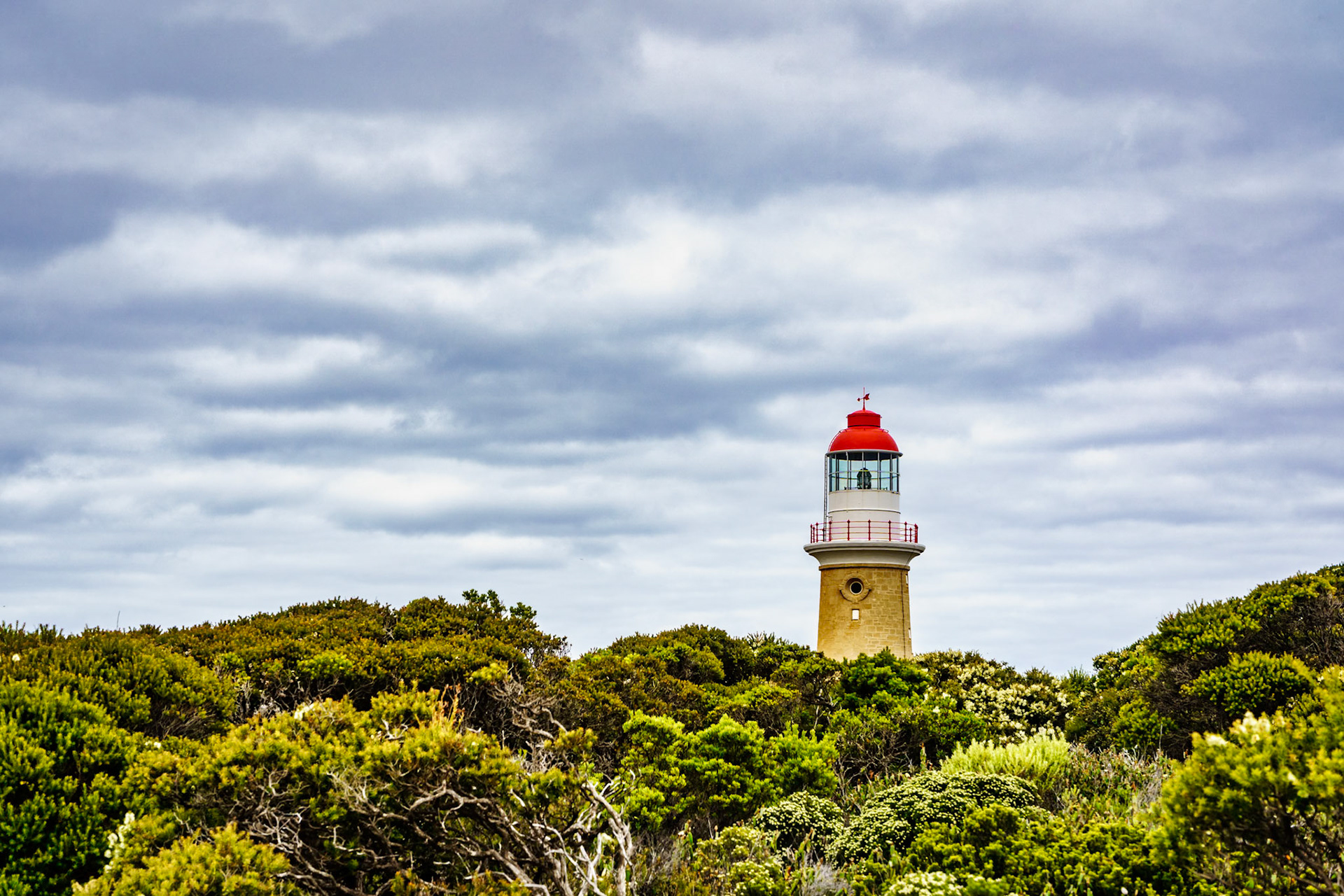 The Cape du Couedic Lighthouse is located within the Flinders Chase National Park on the south western point of Kangaroo Island.