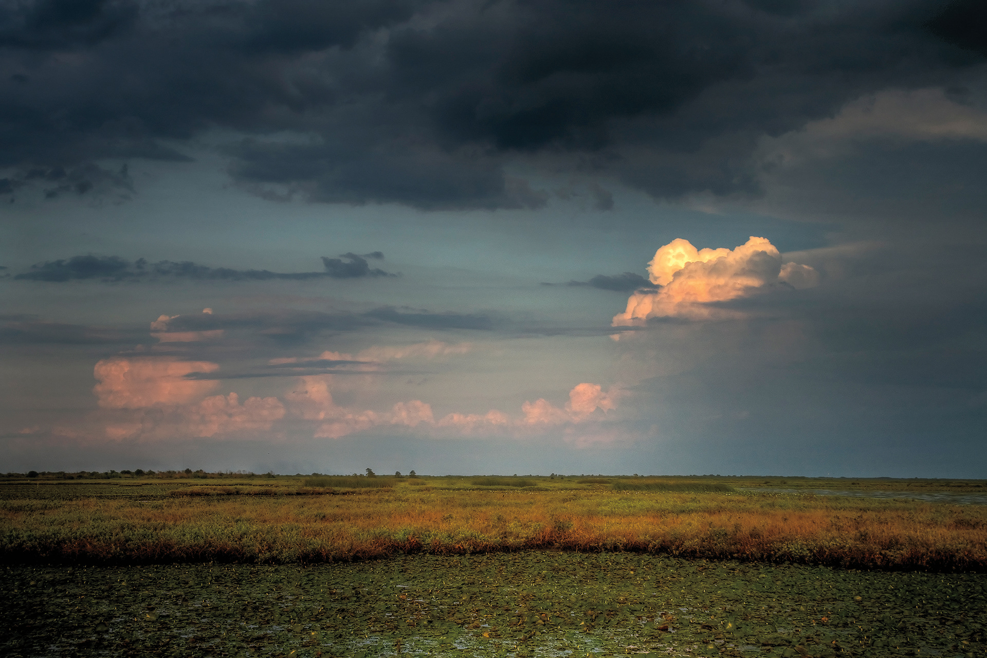 Marsh Evening - Lacassine National Wildlife Refuge, Louisiana