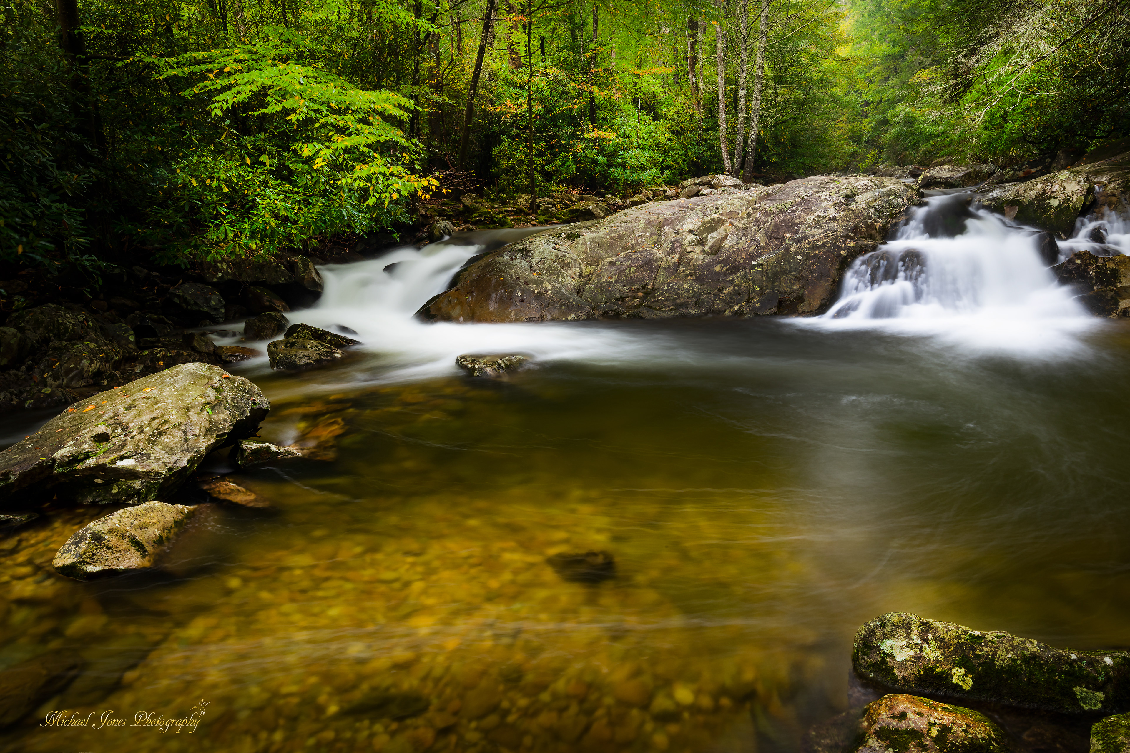 Steele Creek , Pisgah National Forest, NC