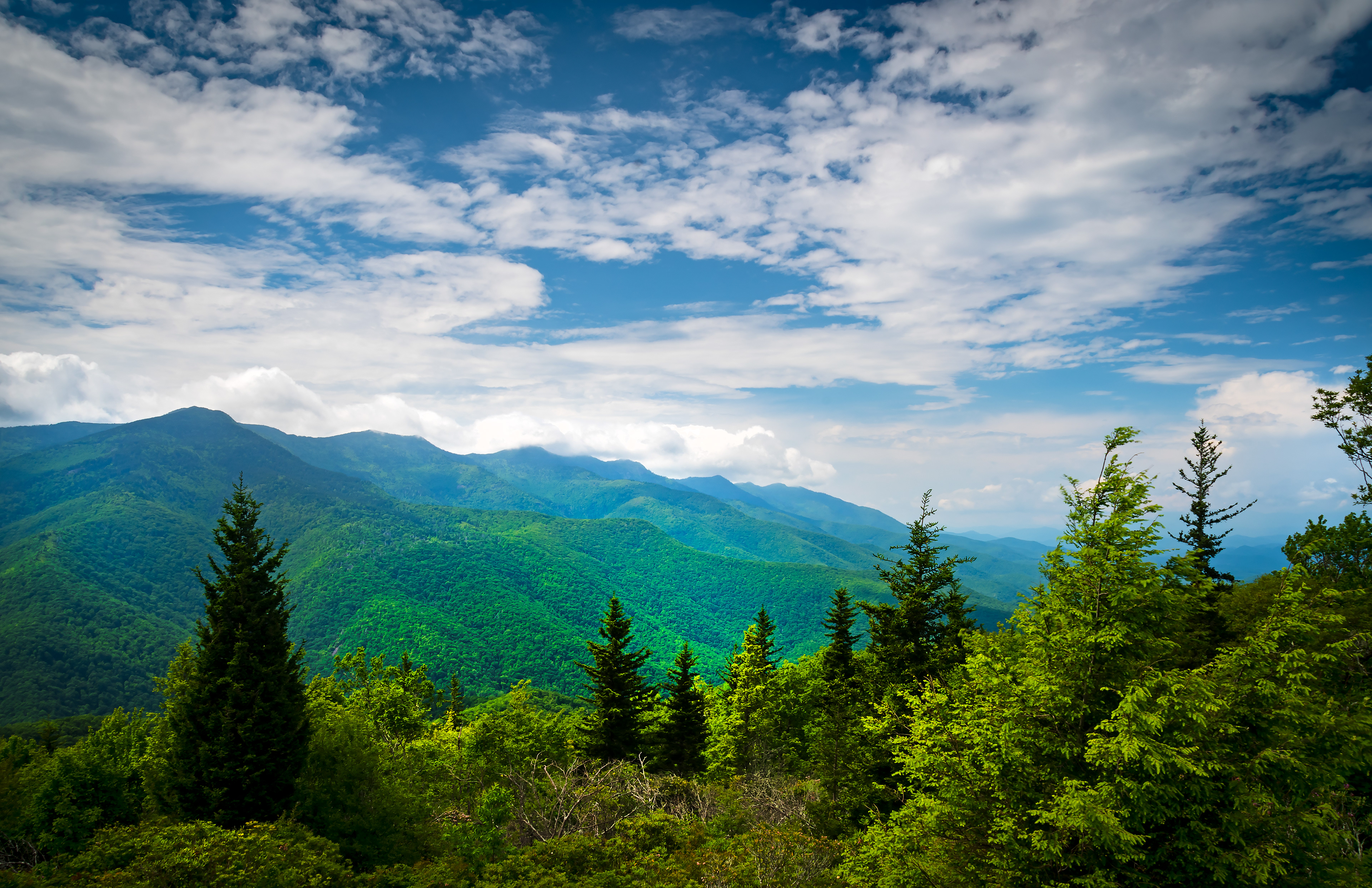 Western View - Mt. Mitchell State Park, NC