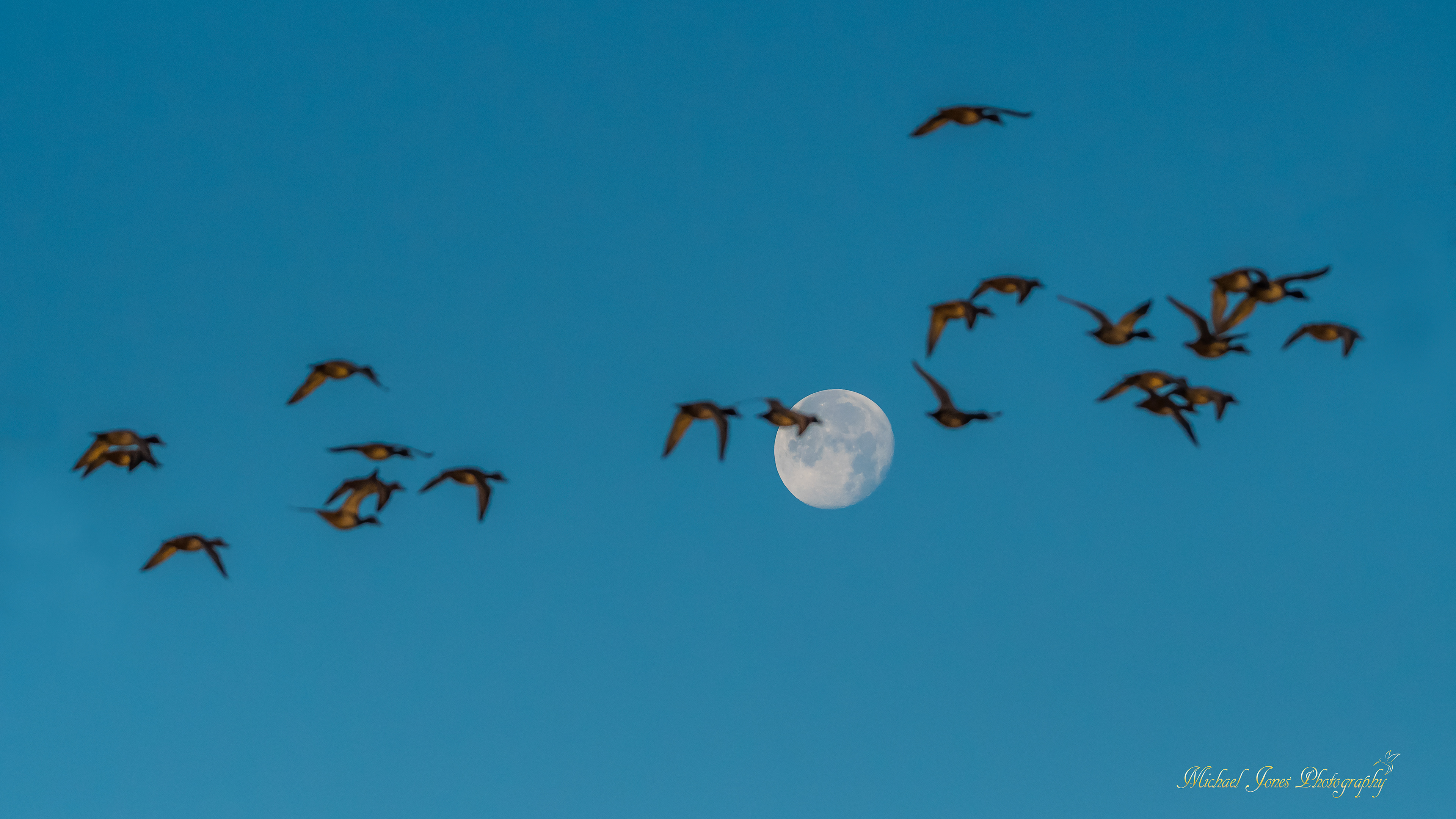Moon Passing - Pea island National Wildlife Refuge, NC