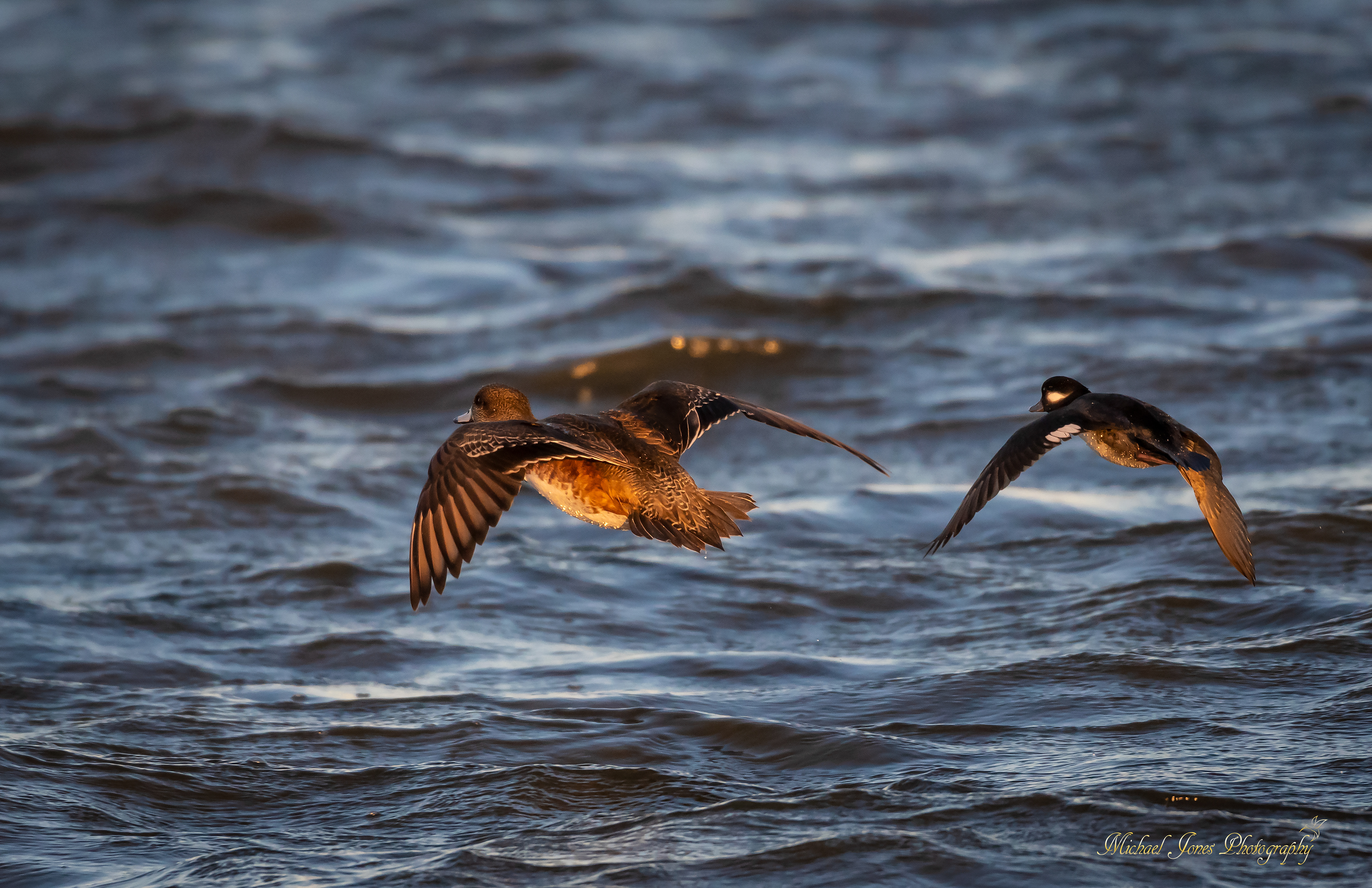 Wave Riders - Pea Island National Wildlife Refuge, NC