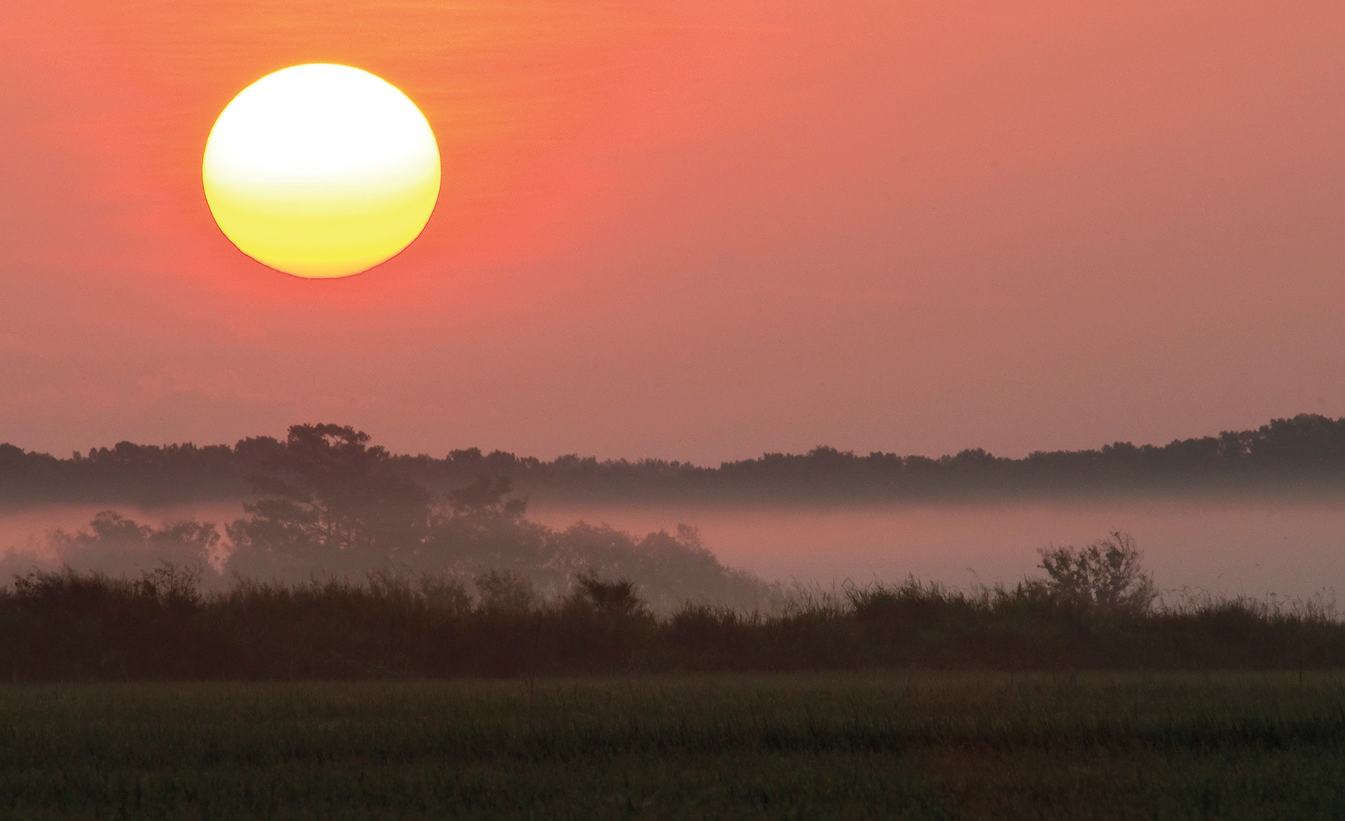 Sunrise - Lacassine National Wildlife Refuge, Louisiana