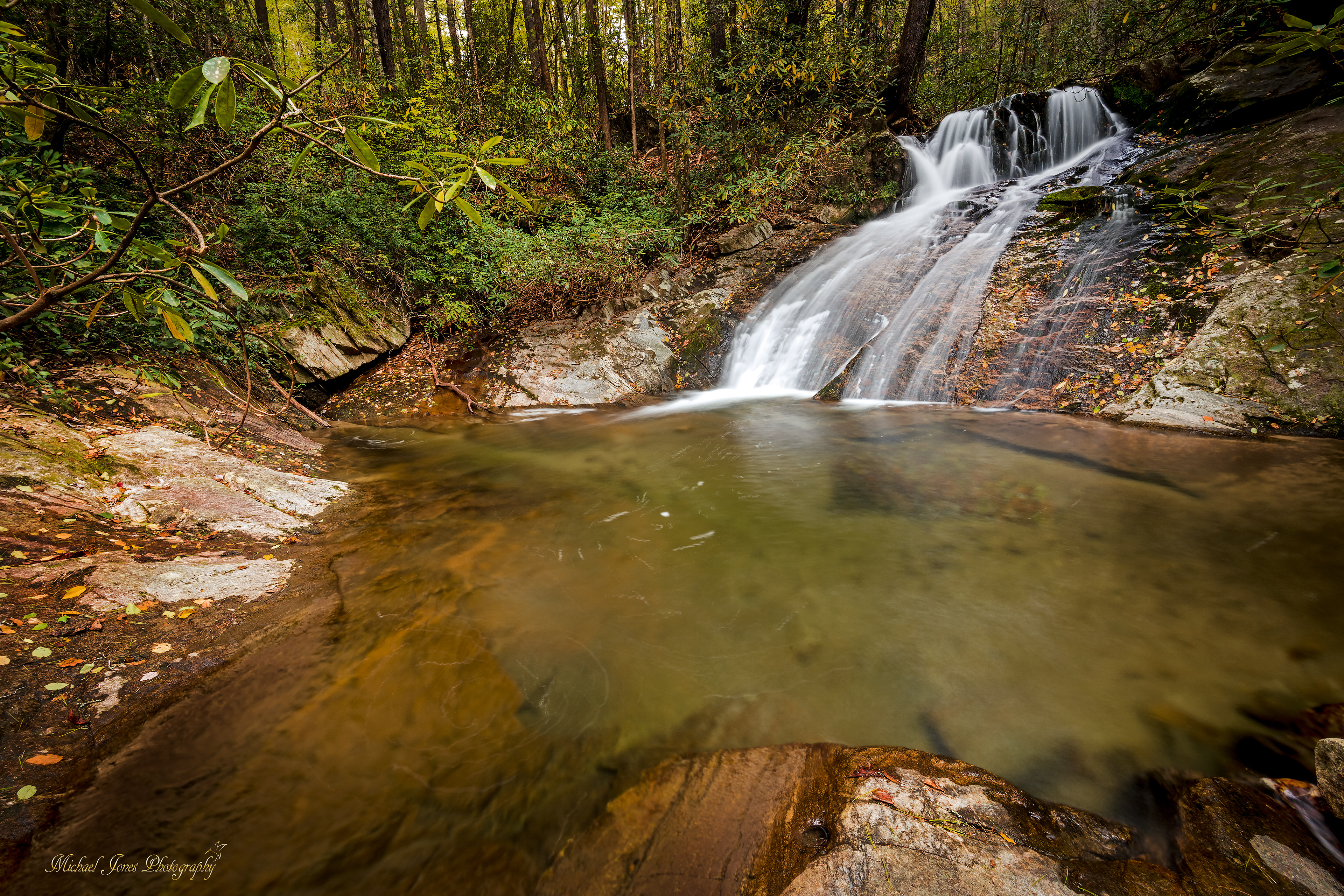 Thorpes Creek Falls - Pisgah National Forest, NC