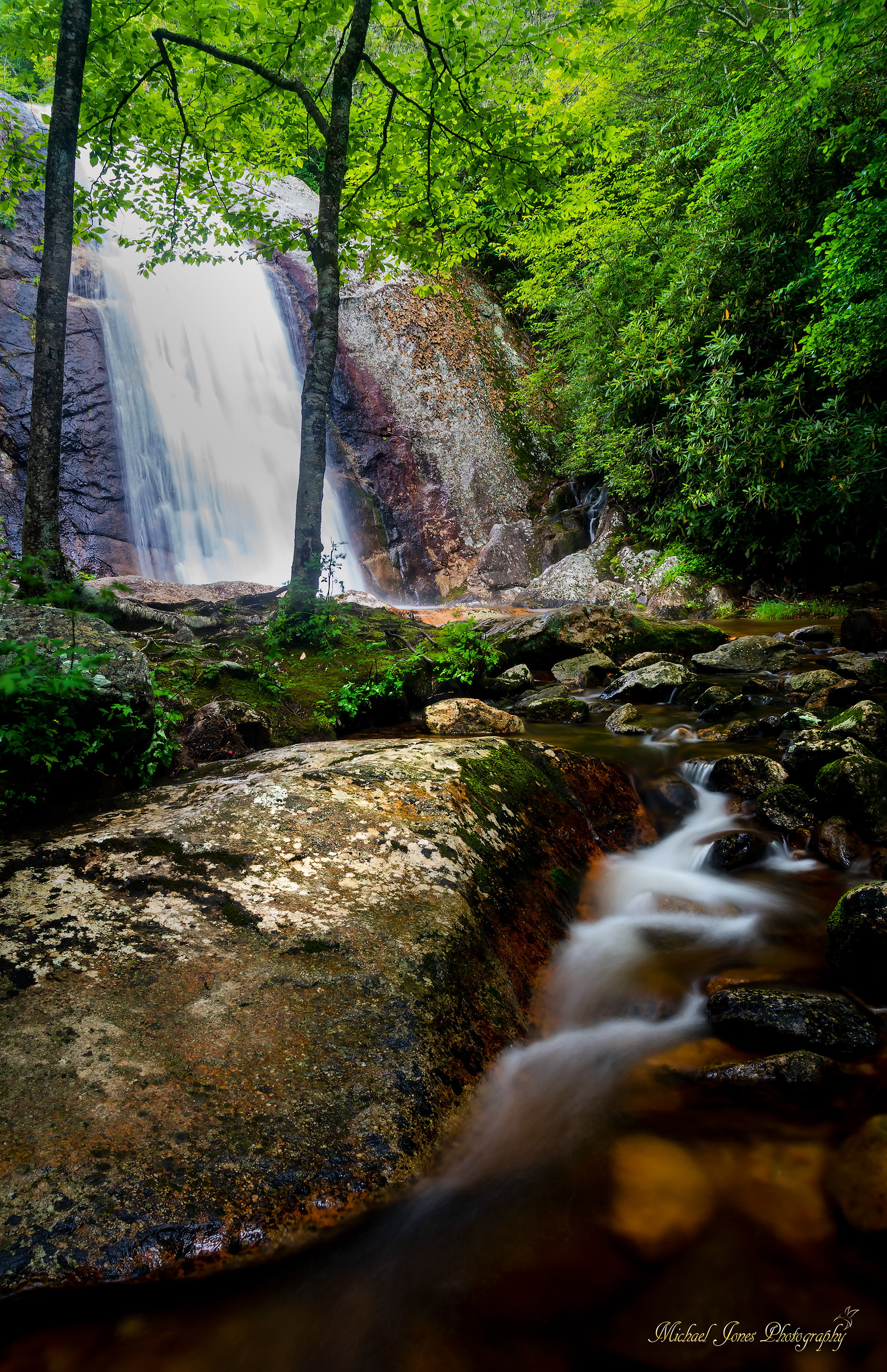 North Harpers Creek Falls 1 - Pisgah National Forest, NC