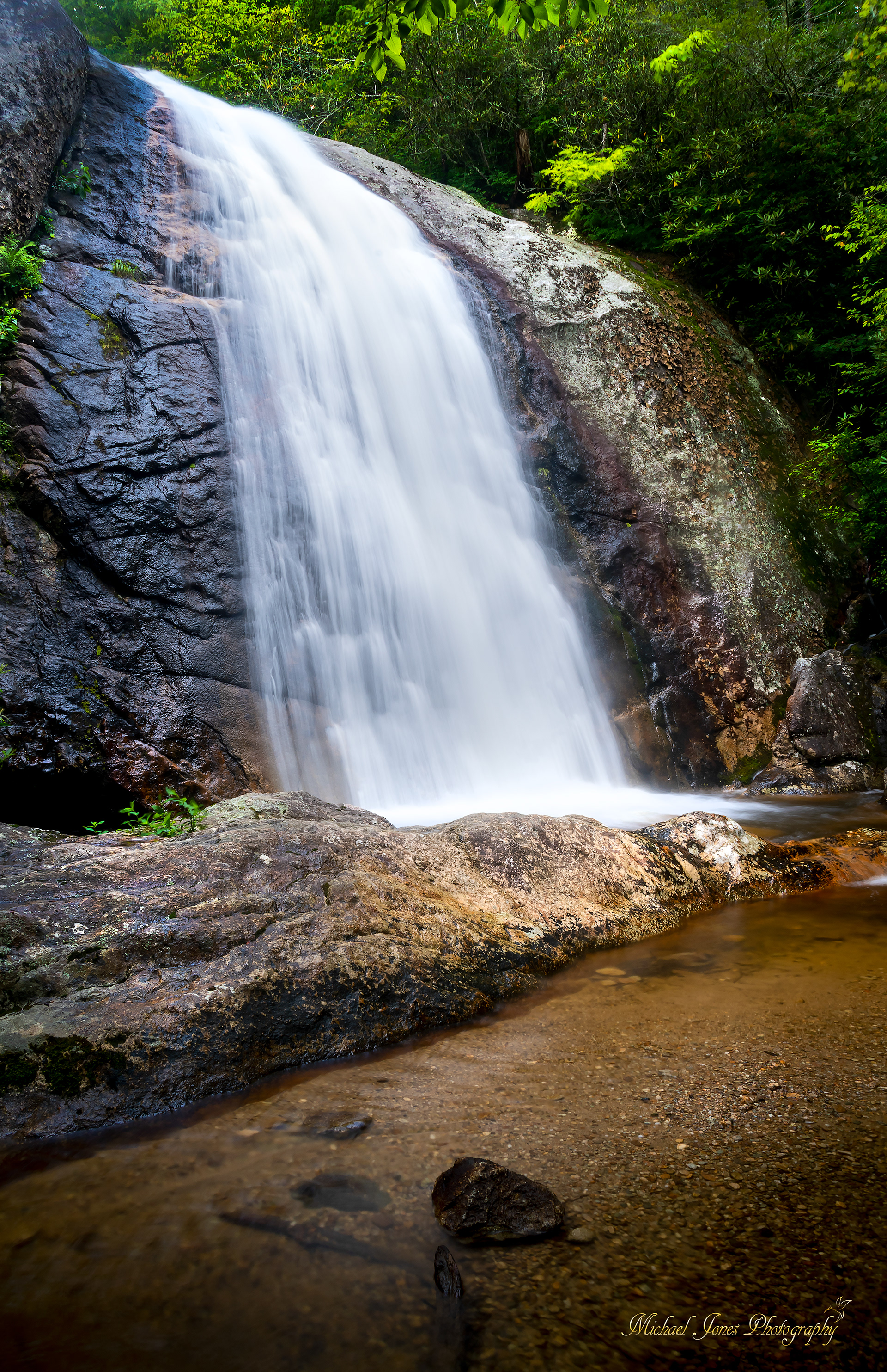 North Harpers Creek 3 - Pisgah National Forest, NC