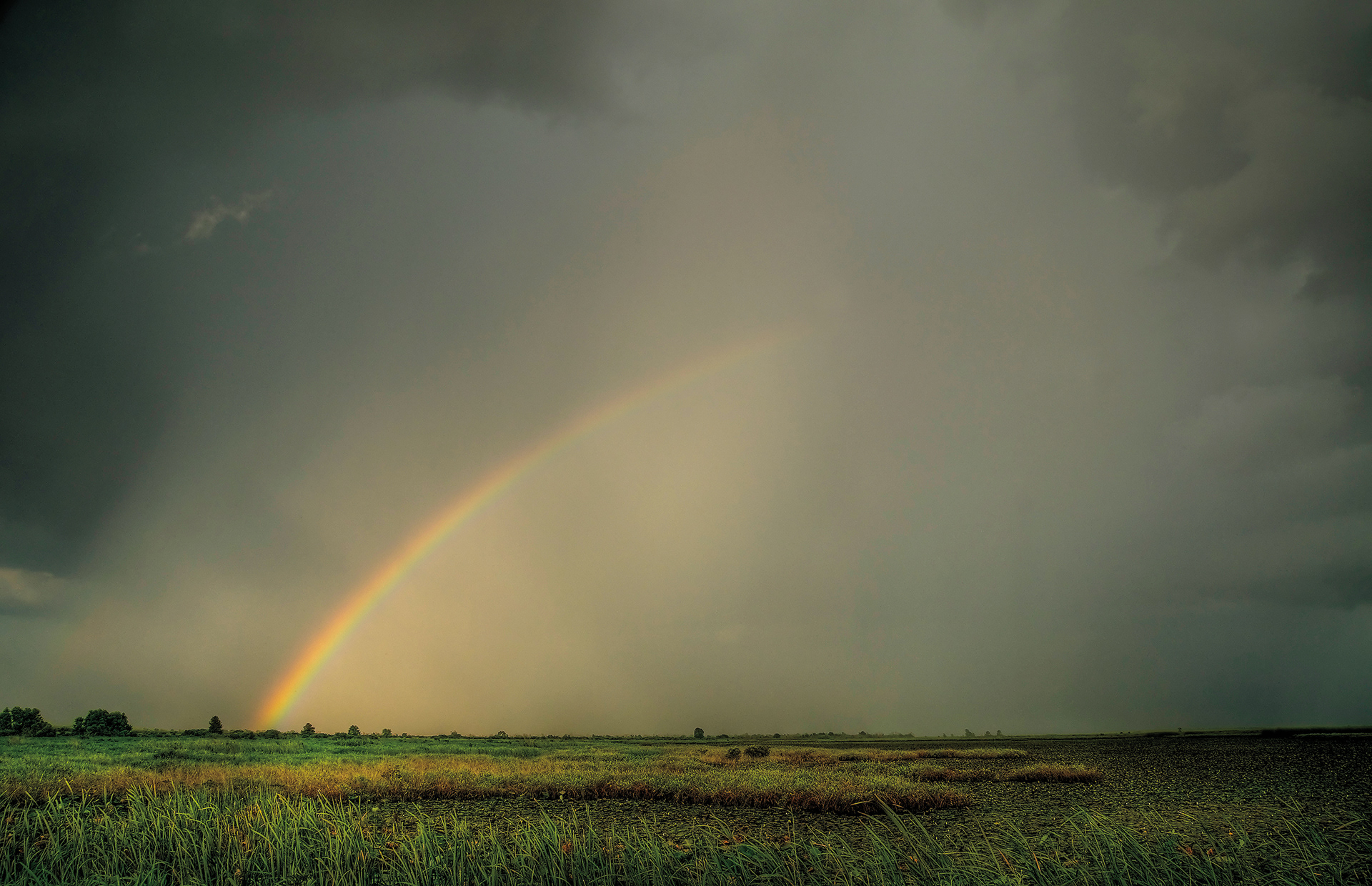 Rainbow over the Marsh - Lacassine National Wildlife Refuge, Louisiana