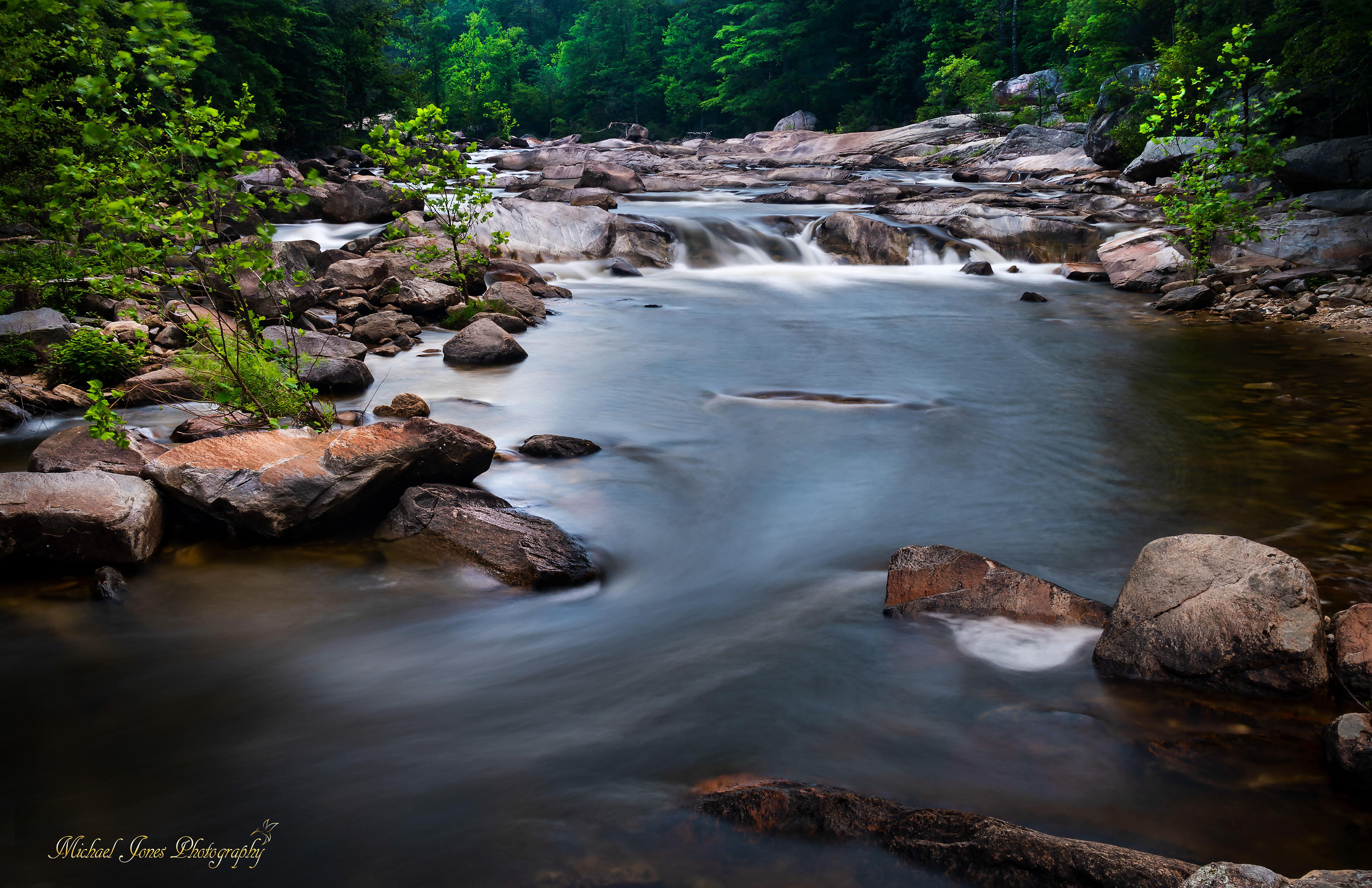 Wilson Creek (evening light) - Pisgah National Forest, NC