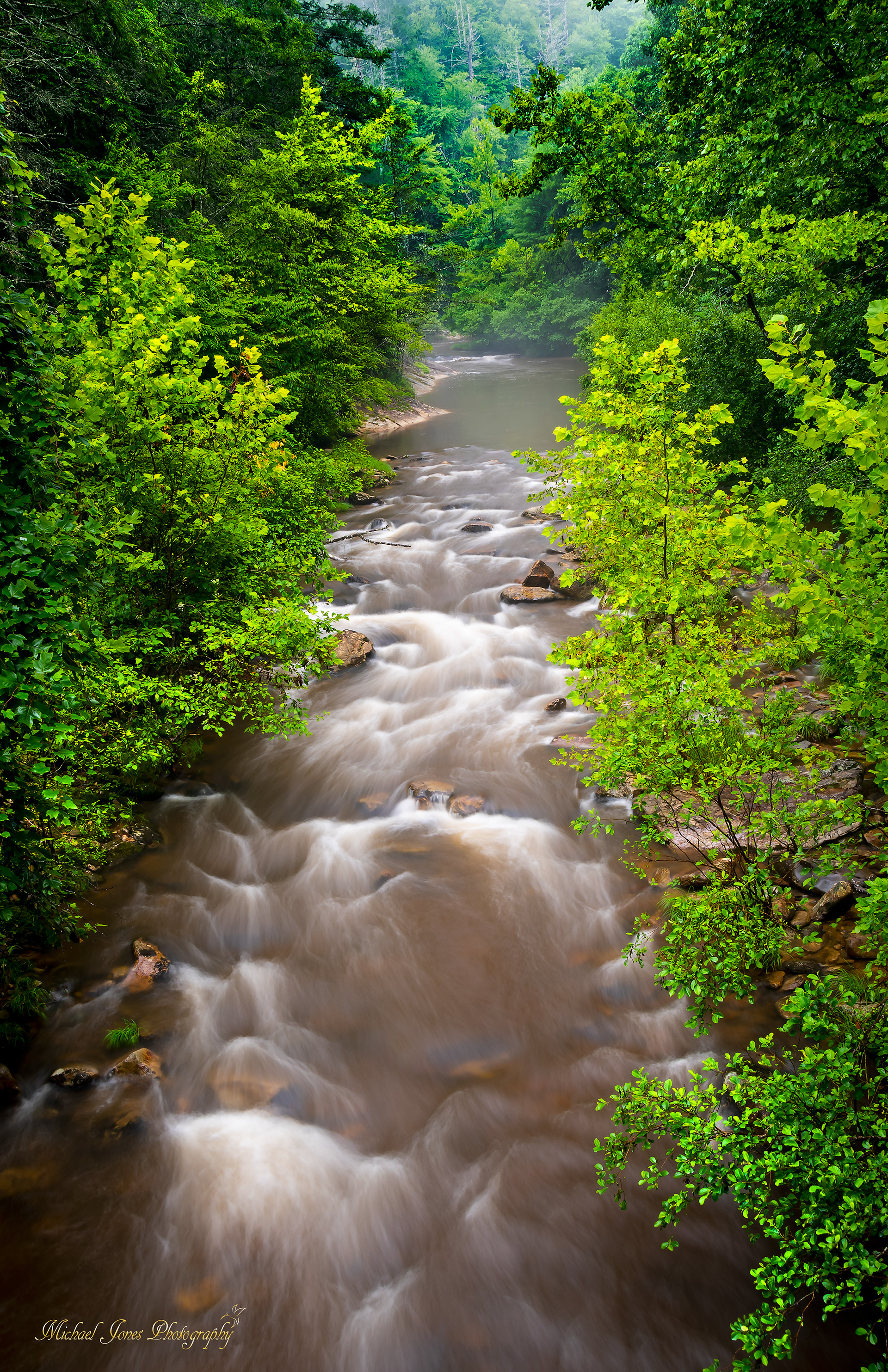 Wilson Creek 5 - Pisgah National Forest, NC