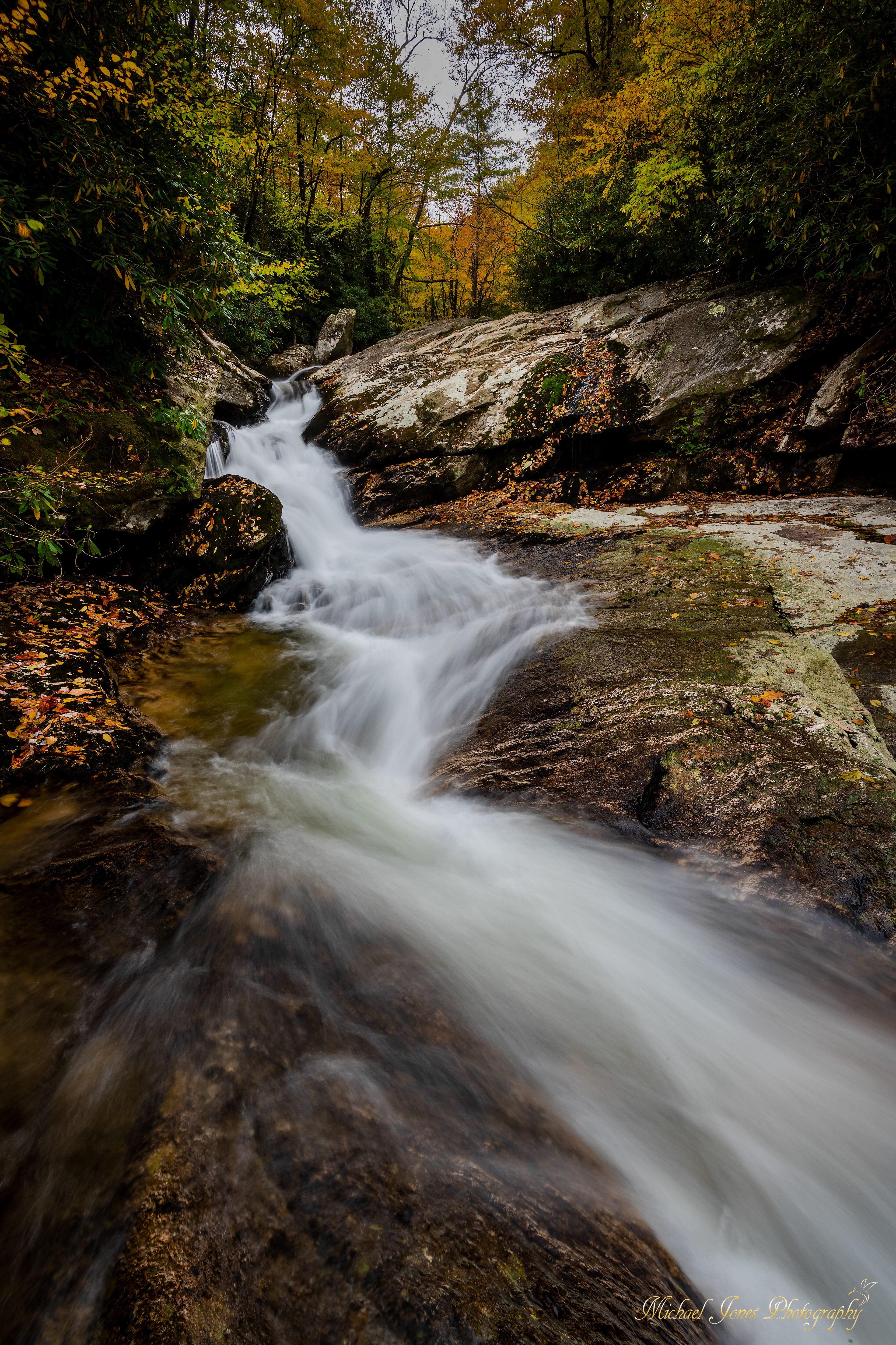 Lower Falls - Pisgah National Forest, NC