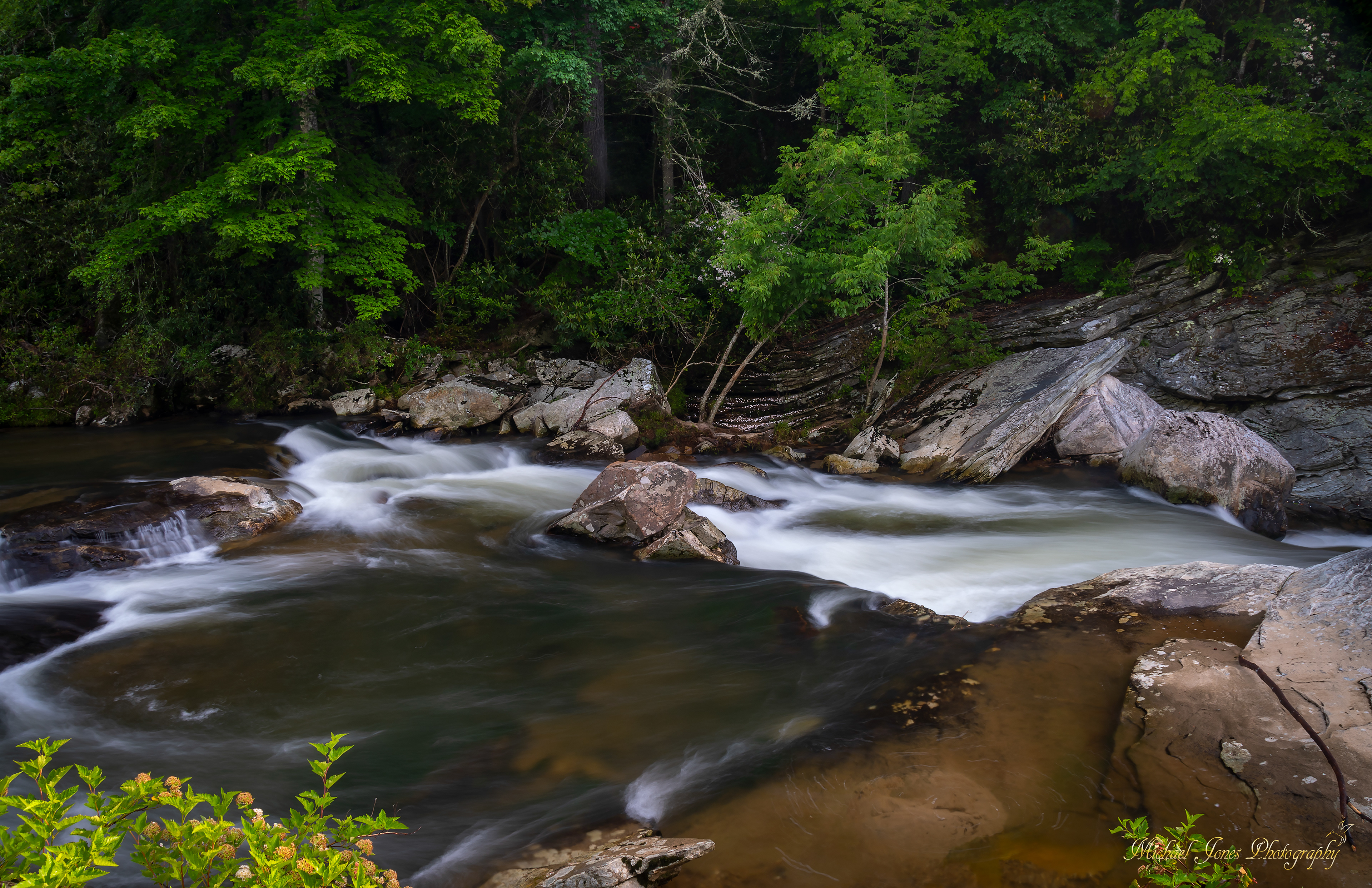 Linville River - Linville Gorge, NC