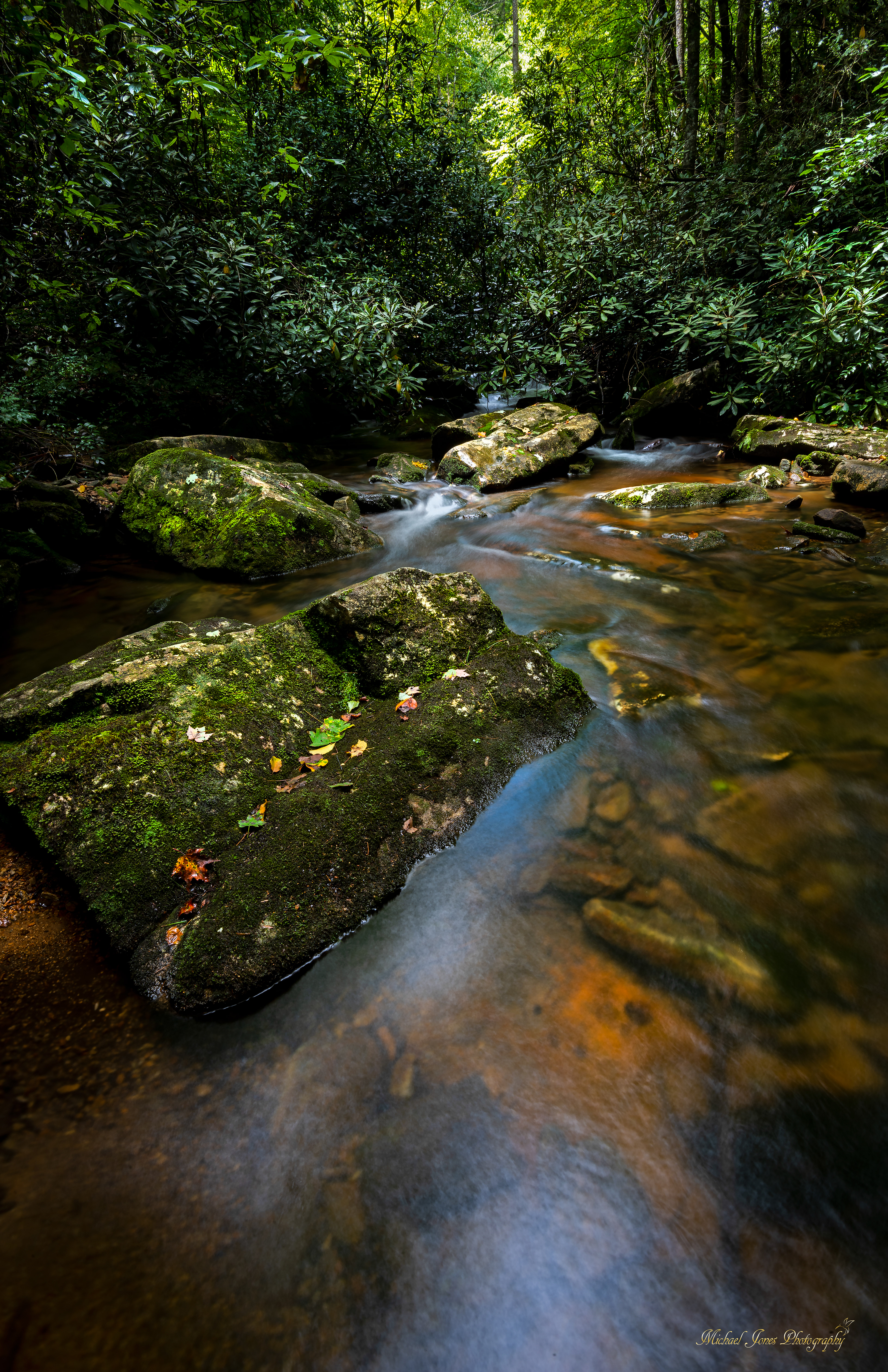 Tributary - Thompson River Gorge, NC