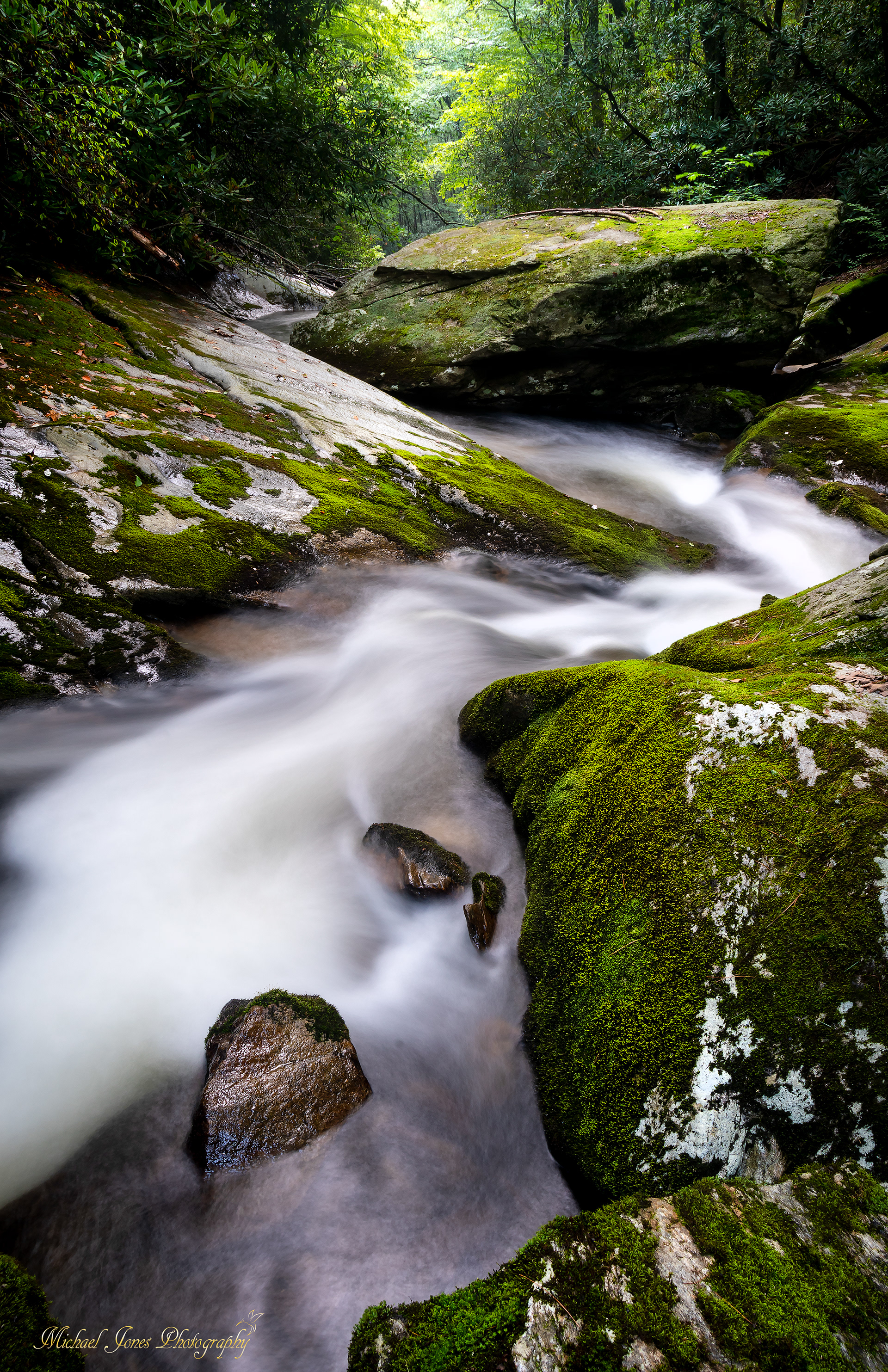 Harpers Creek 2 - Pisgah National Forest, NC