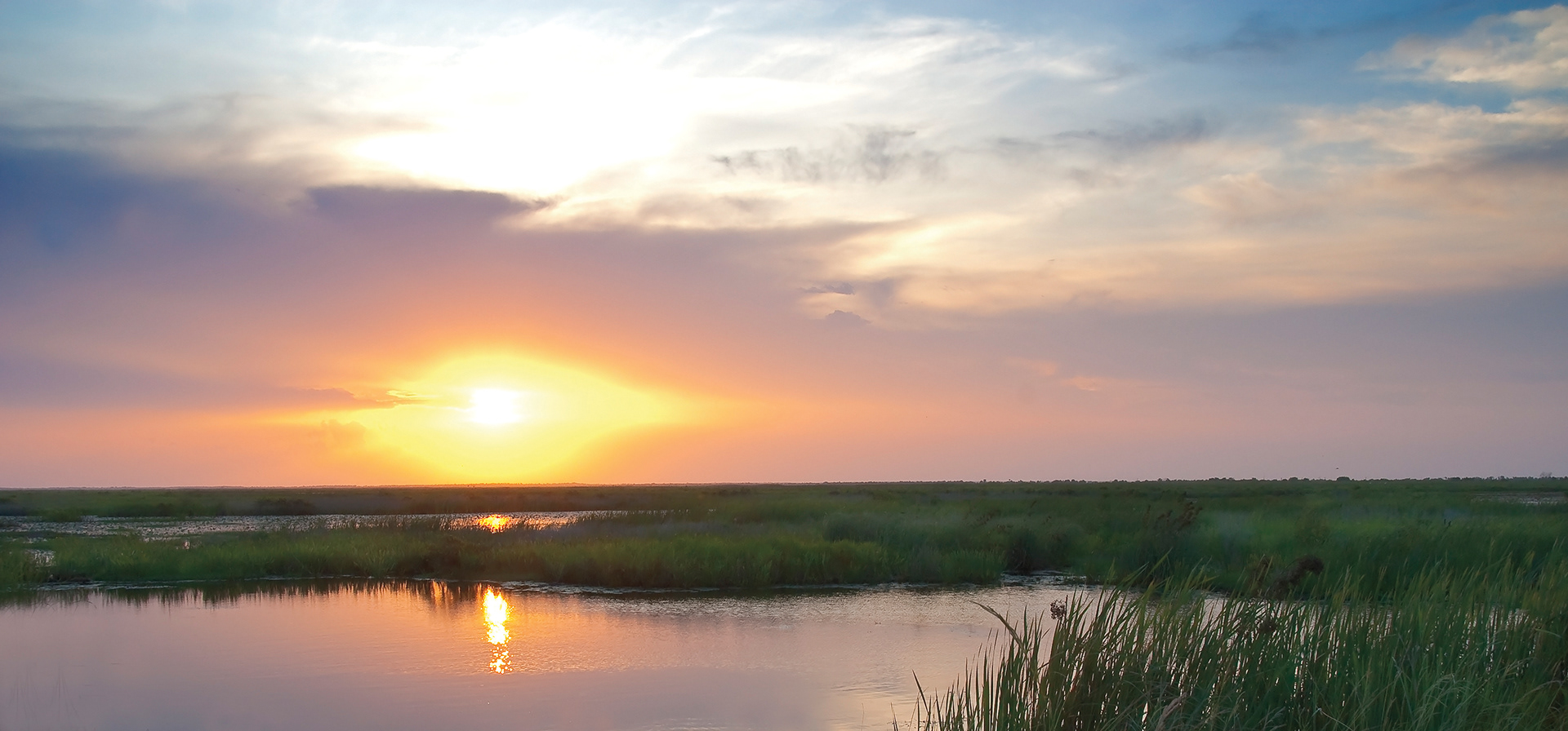 Sunset - Lacassine National Wildlife Refuge, Louisiana
