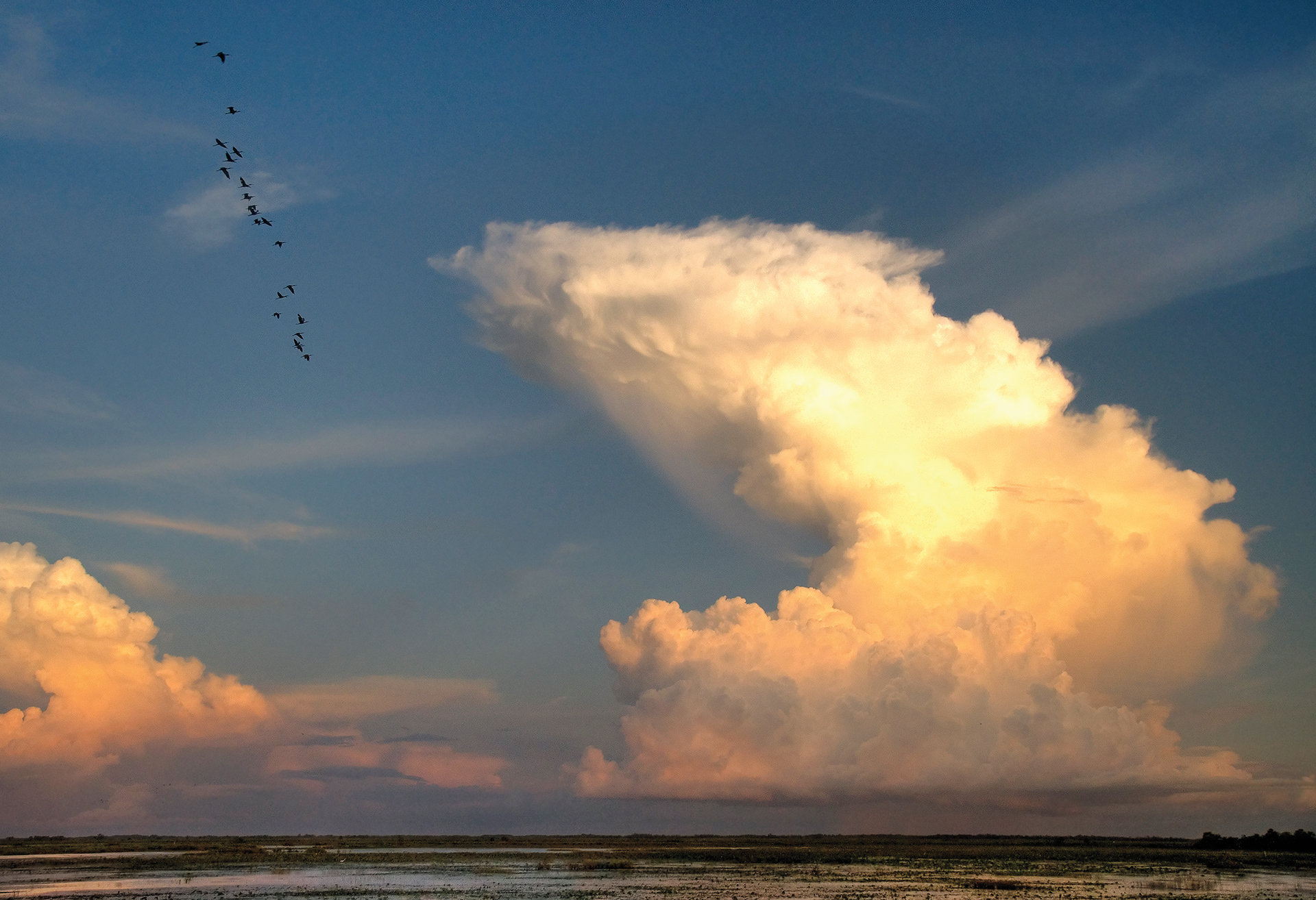 Storm Clouds over the Marsh - Lacassine National Wildlife Refuge, Louisiana
