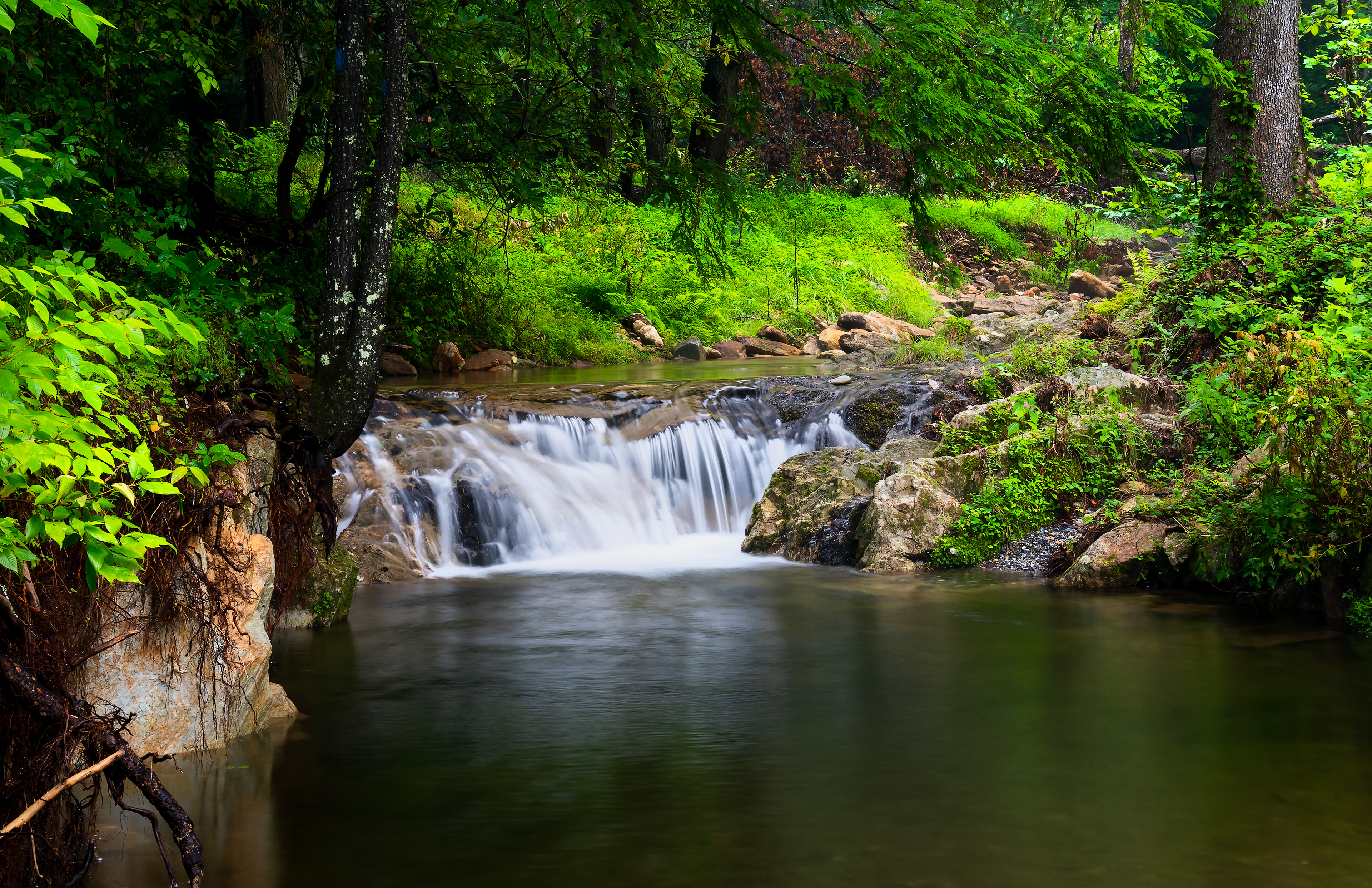 Thorpe Creek 2 - Pisgah National Forest, NC