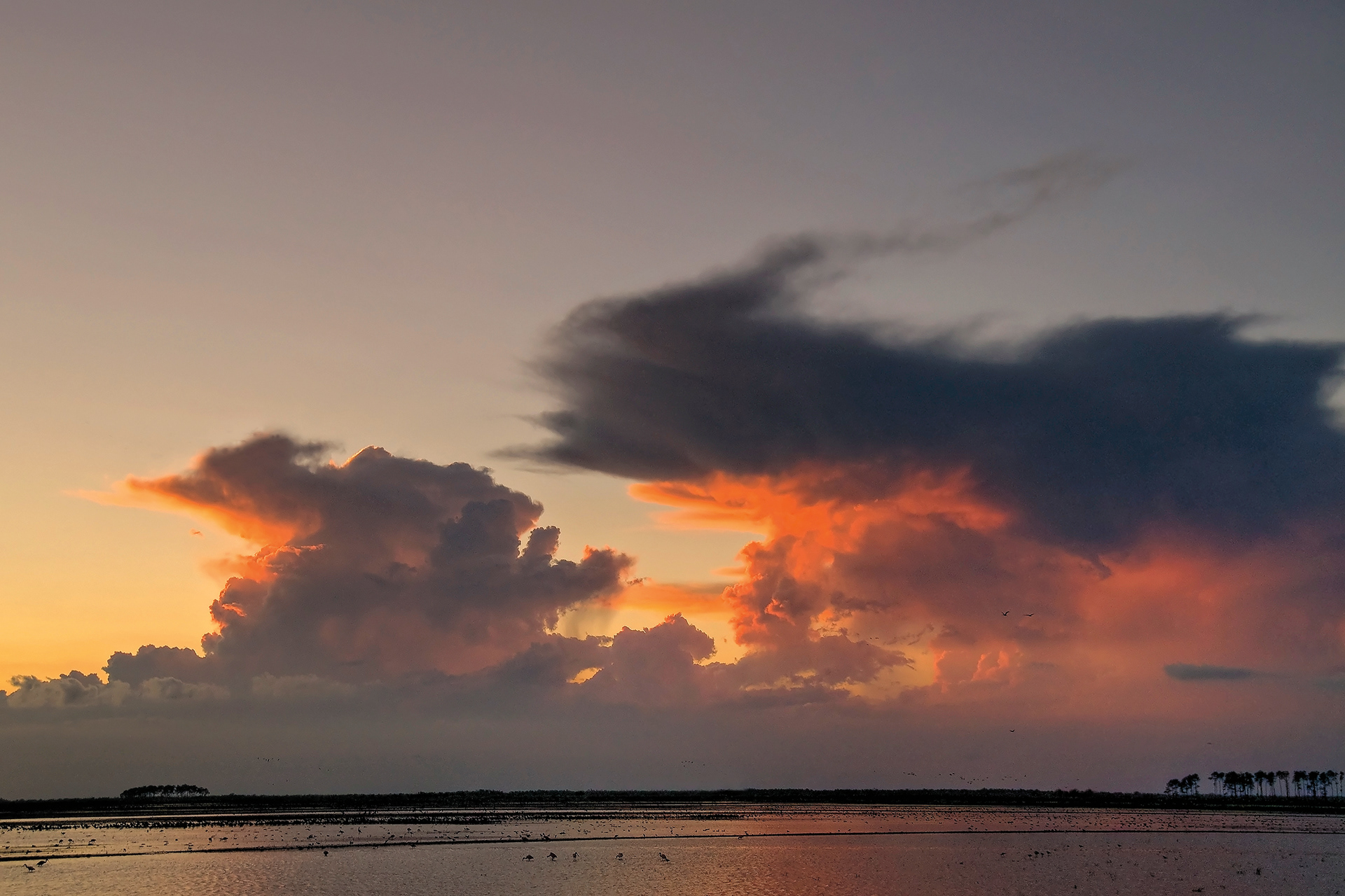 Evening Storm - Gulf Coast, Louisiana
