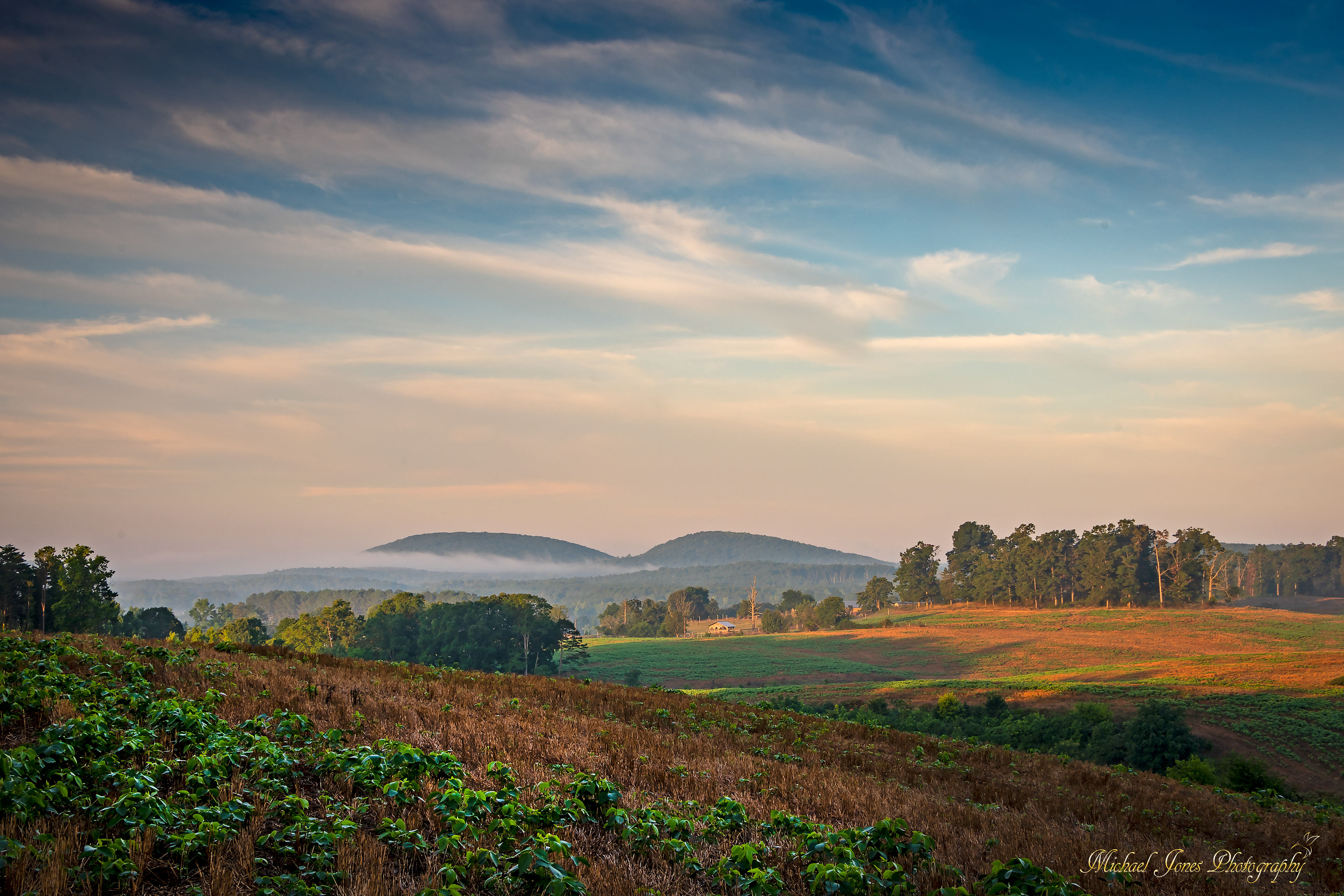 Farmland - Uwharrie National Forest, NC