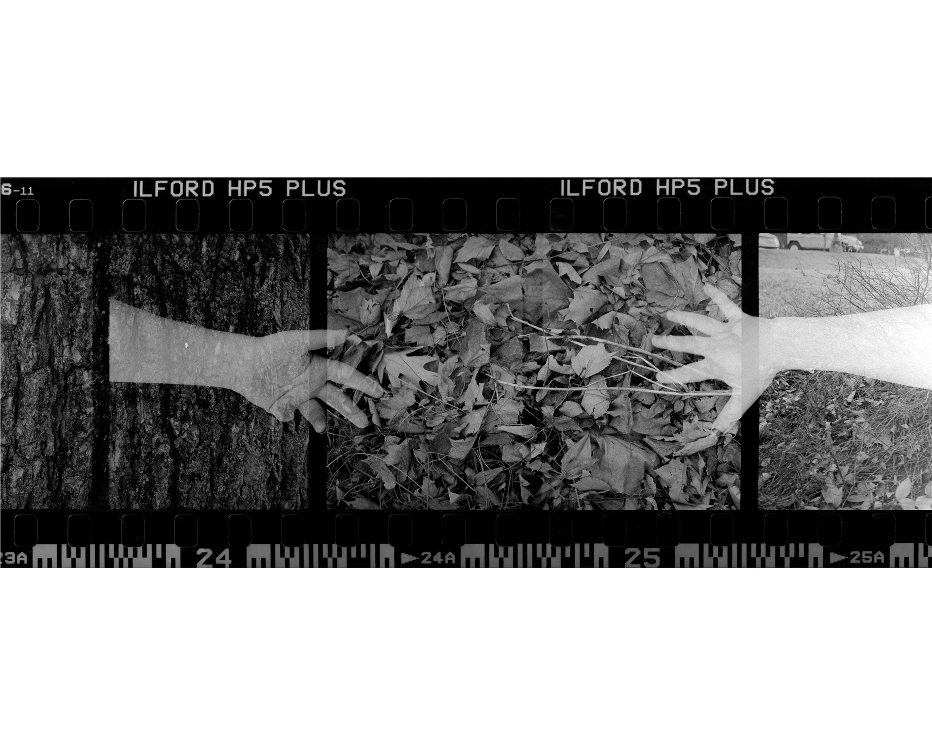 Untitled, Archival Ink Jet Print, 43" x 18", 2022