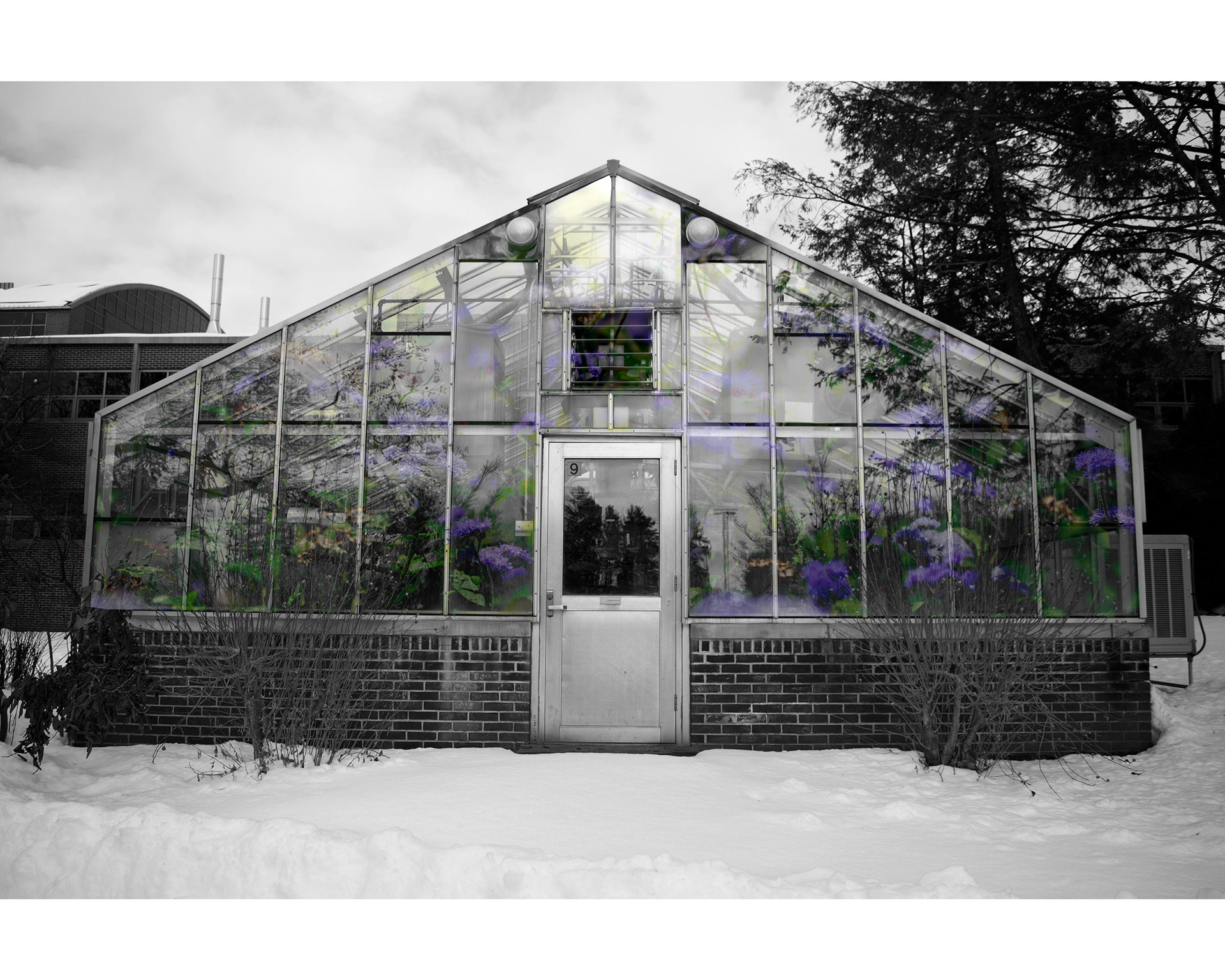 Untitled, Archival Ink Jet Print, 17" x 11", 2021