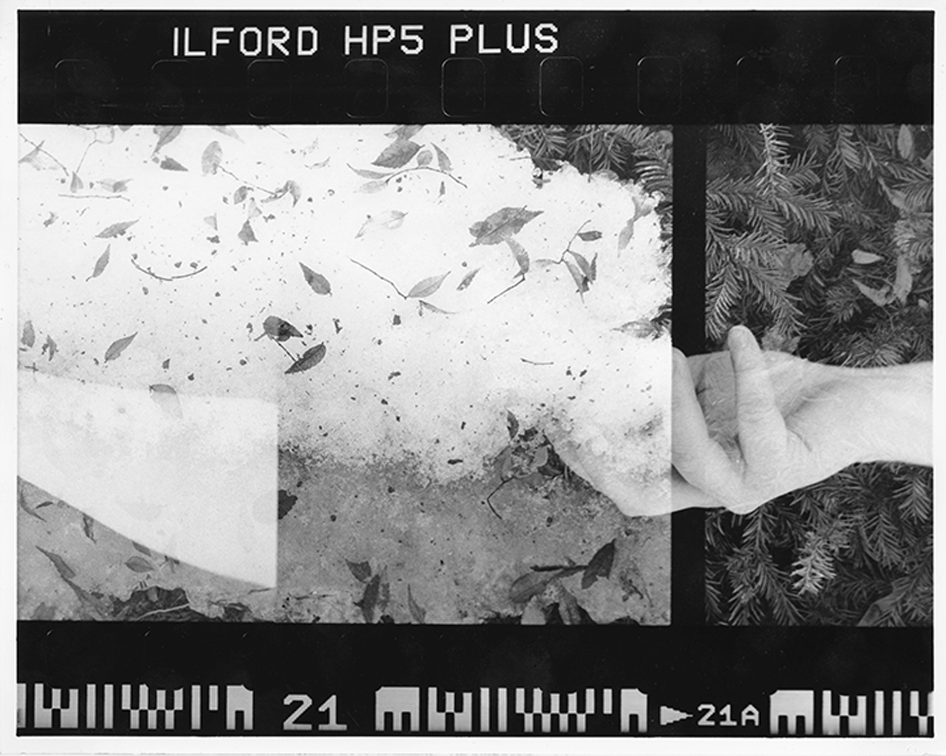 Untitled, Gelatin Silver Print, 20" x 16", 2022