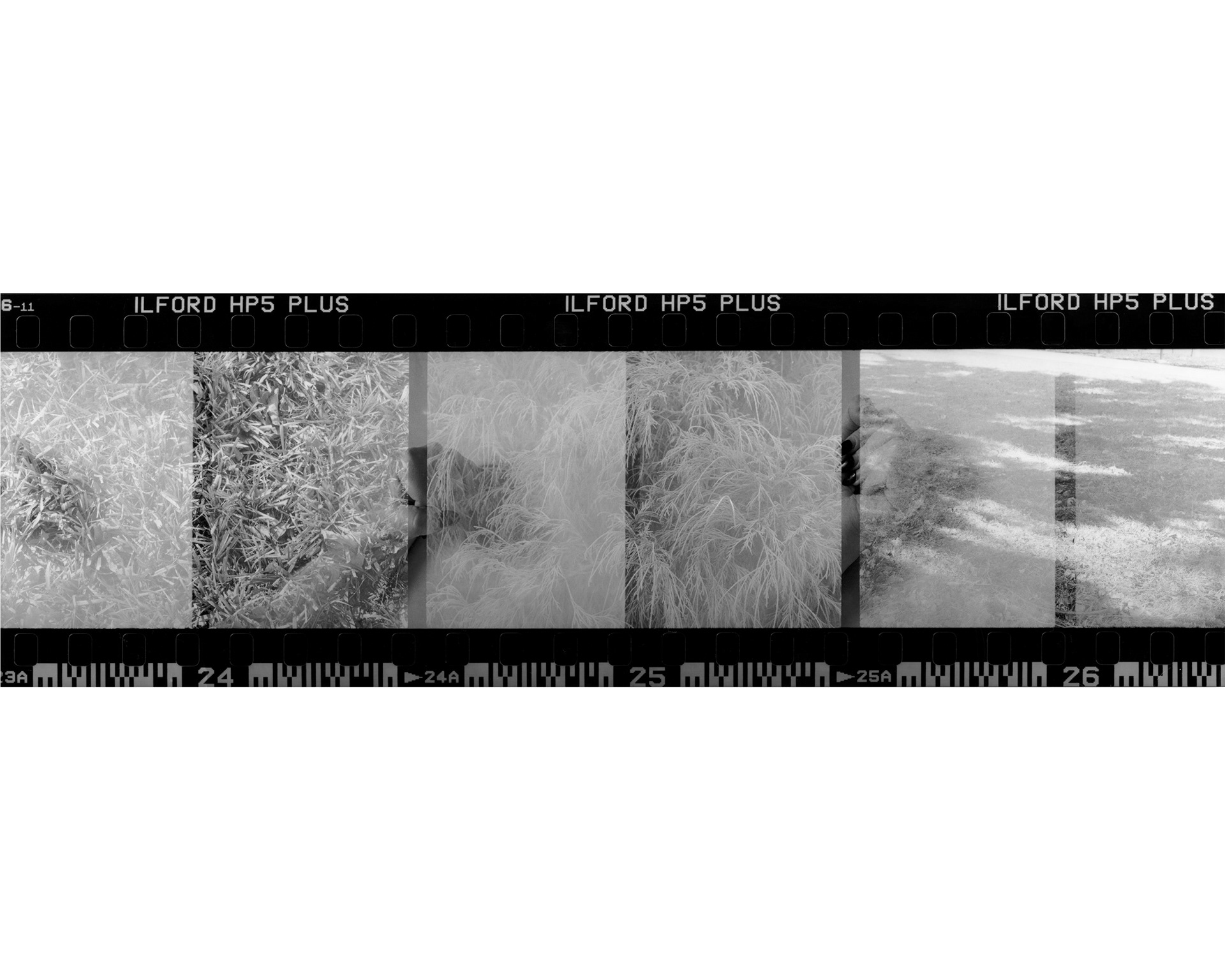 Untitled, Archival Ink Jet Print, 43" x 14", 2022