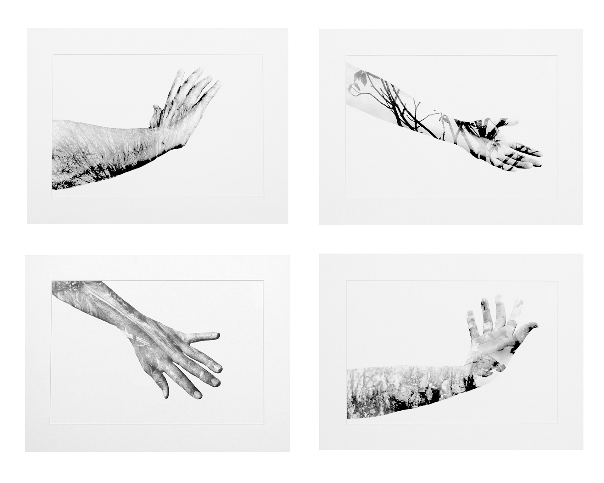 Untitled, Archival Ink Jet Print, 50" x 38", 2021