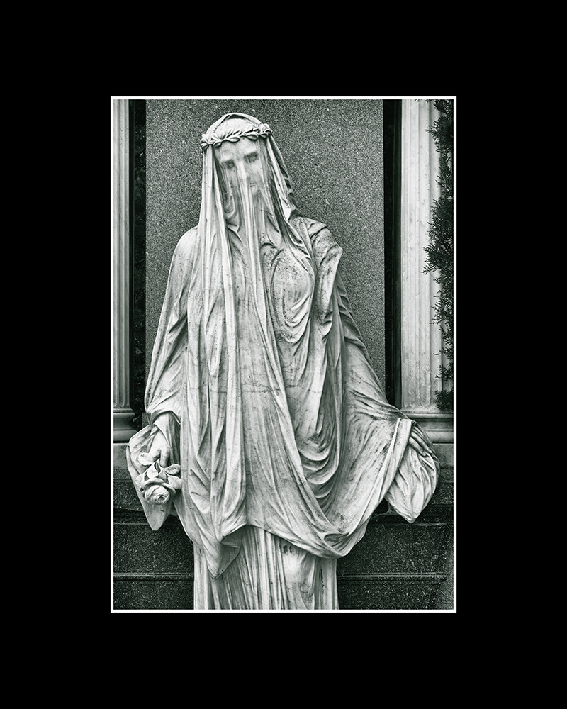 Veiled portrait in a Viennese cemetery with delicate facial features, holding a rose in the right hand.