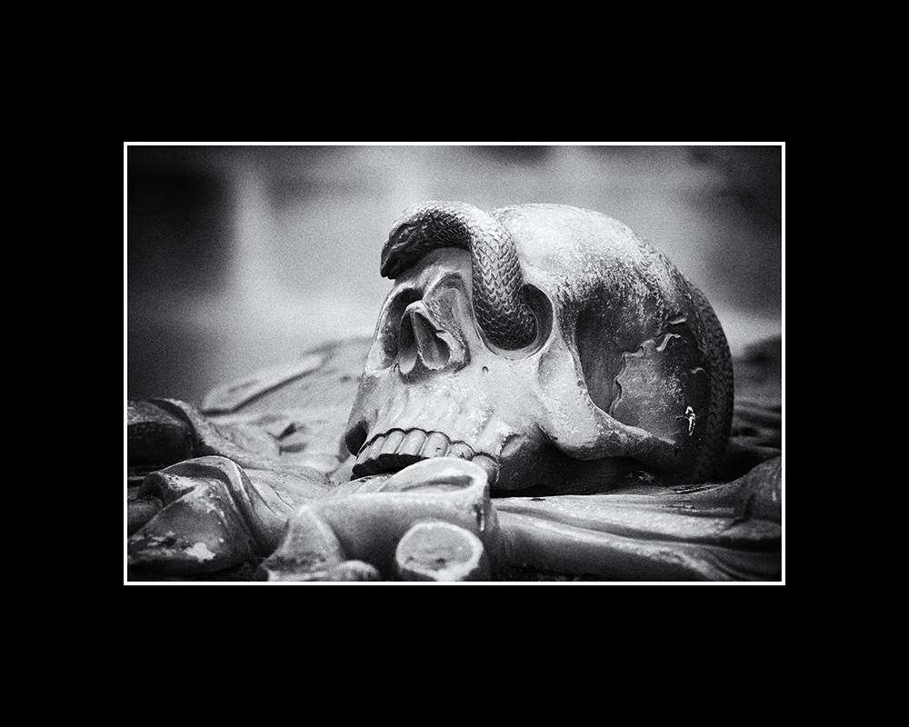 A snake winds its way out of the left eye socket of a human skull lying on a gravestone in a Nuremberg cemetery.