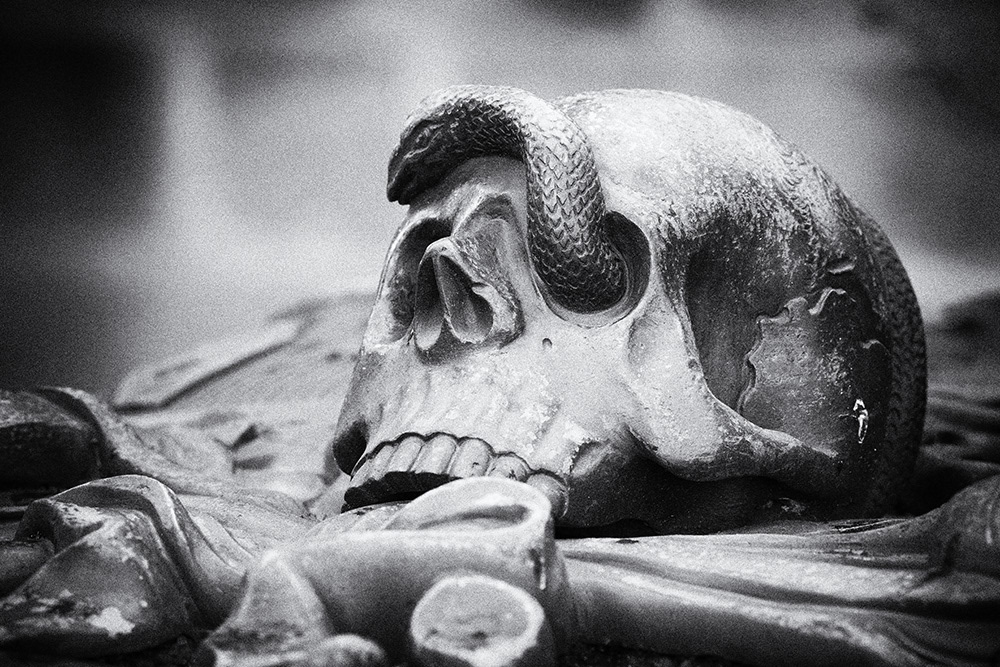 A snake winds its way out of the left eye socket of a human skull lying on a gravestone in a Nuremberg cemetery.