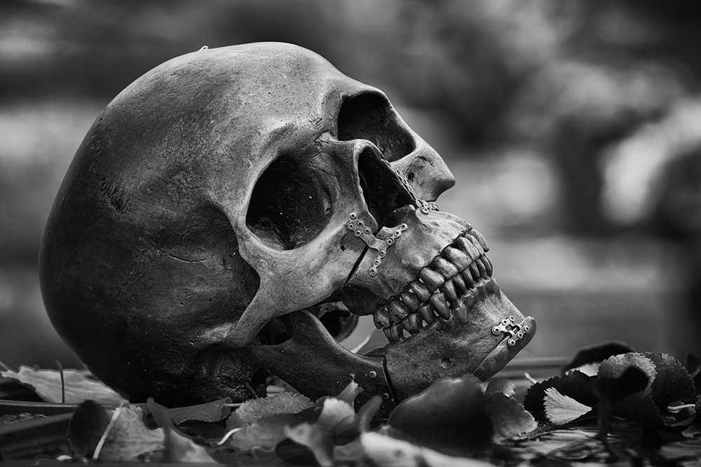 A human skull with a perfectly preserved set of teeth rests on a grave slab in a Nuremberg cemetery.