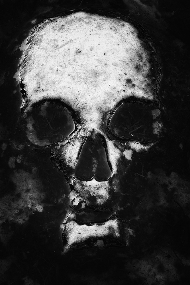 A human skull lies beneath the surface of the water. It seems to stare at us from the darkness of the universe.