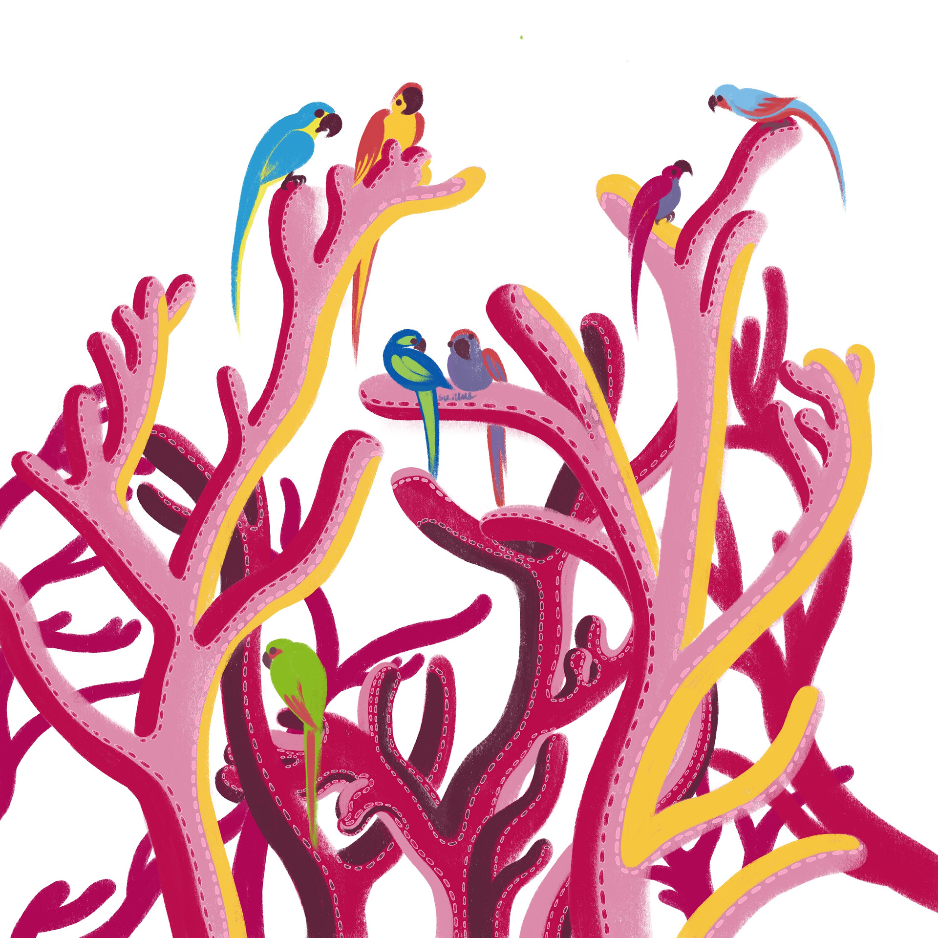 CORAL