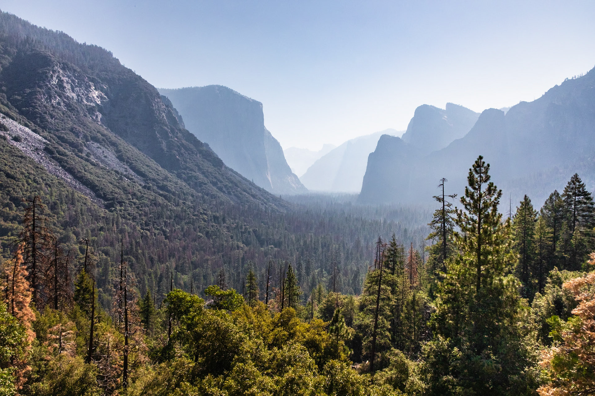 Yosemite National Park