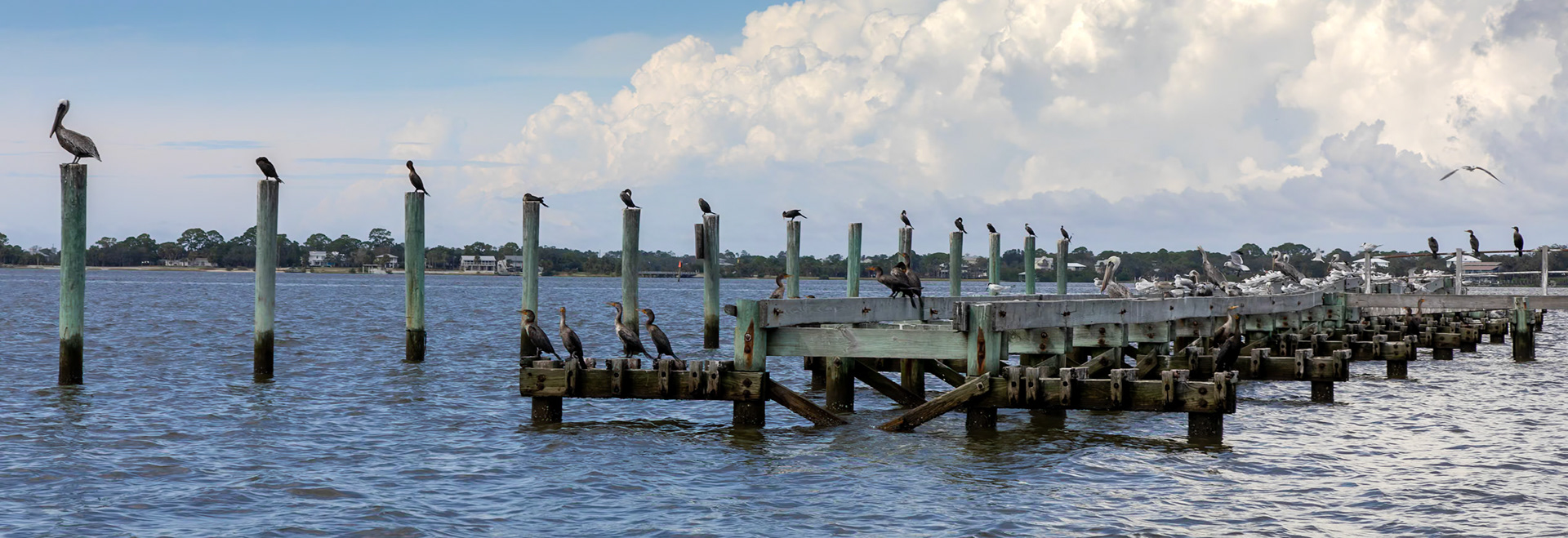 Florida West Coast